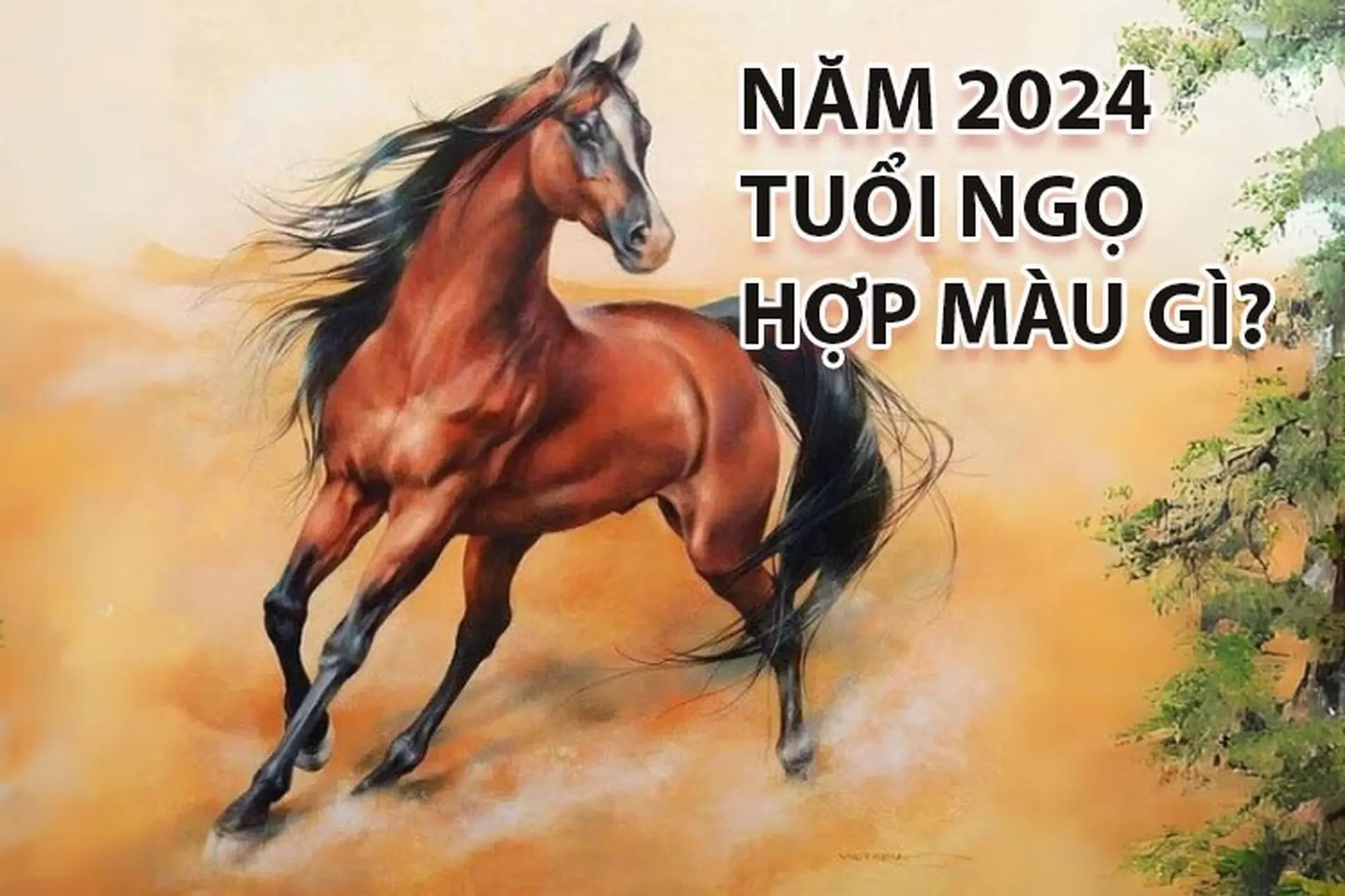 Năm 2024 tuổi Ngọ hợp màu gì? Top 3 dòng điện thoại có màu sắc hợp với người tuổi Ngọ