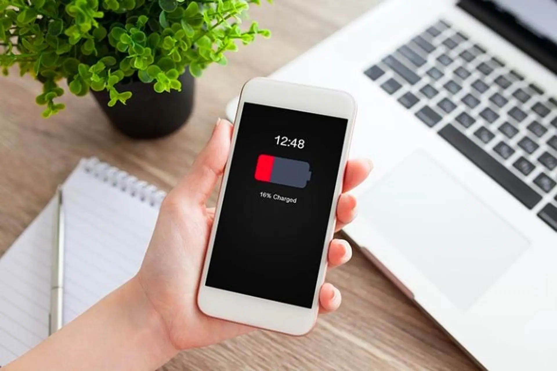 Hướng dẫn kiểm tra pin iPhone bị chai và những lưu ý sử dụng điện thoại bền lâu