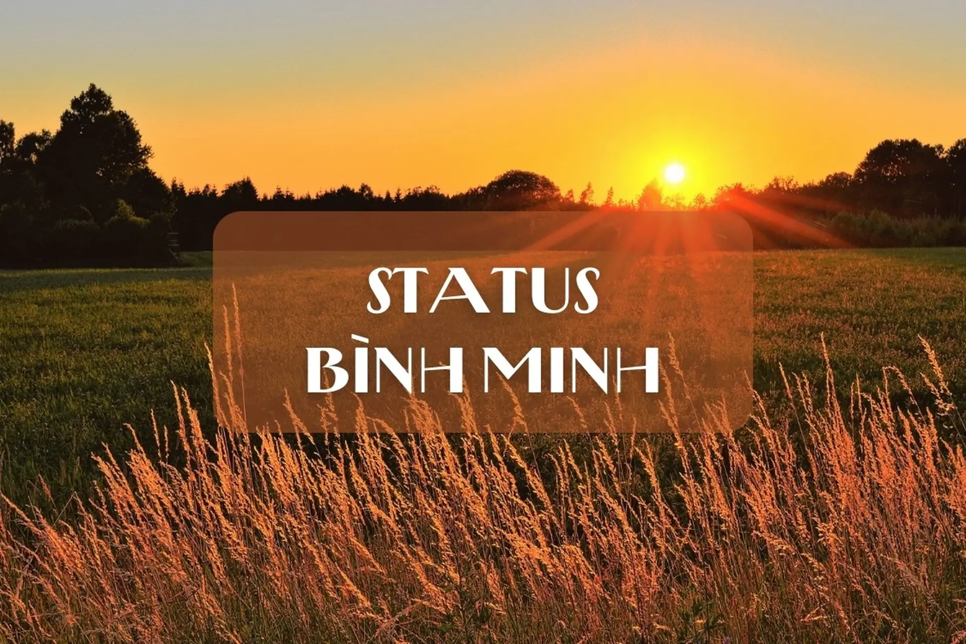 Tuyển tập những câu nói, stt bình minh chill hay nhất, stt về bình minh và hoàng hôn