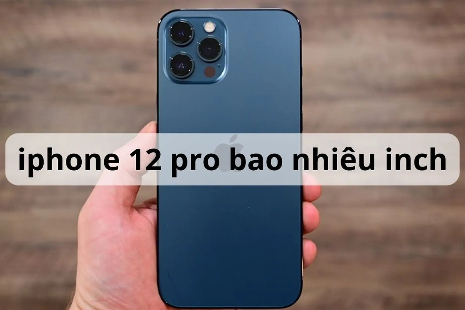 Giải đáp thông tin về kích thước của điện thoại iPhone 12 Pro bao nhiêu inch?