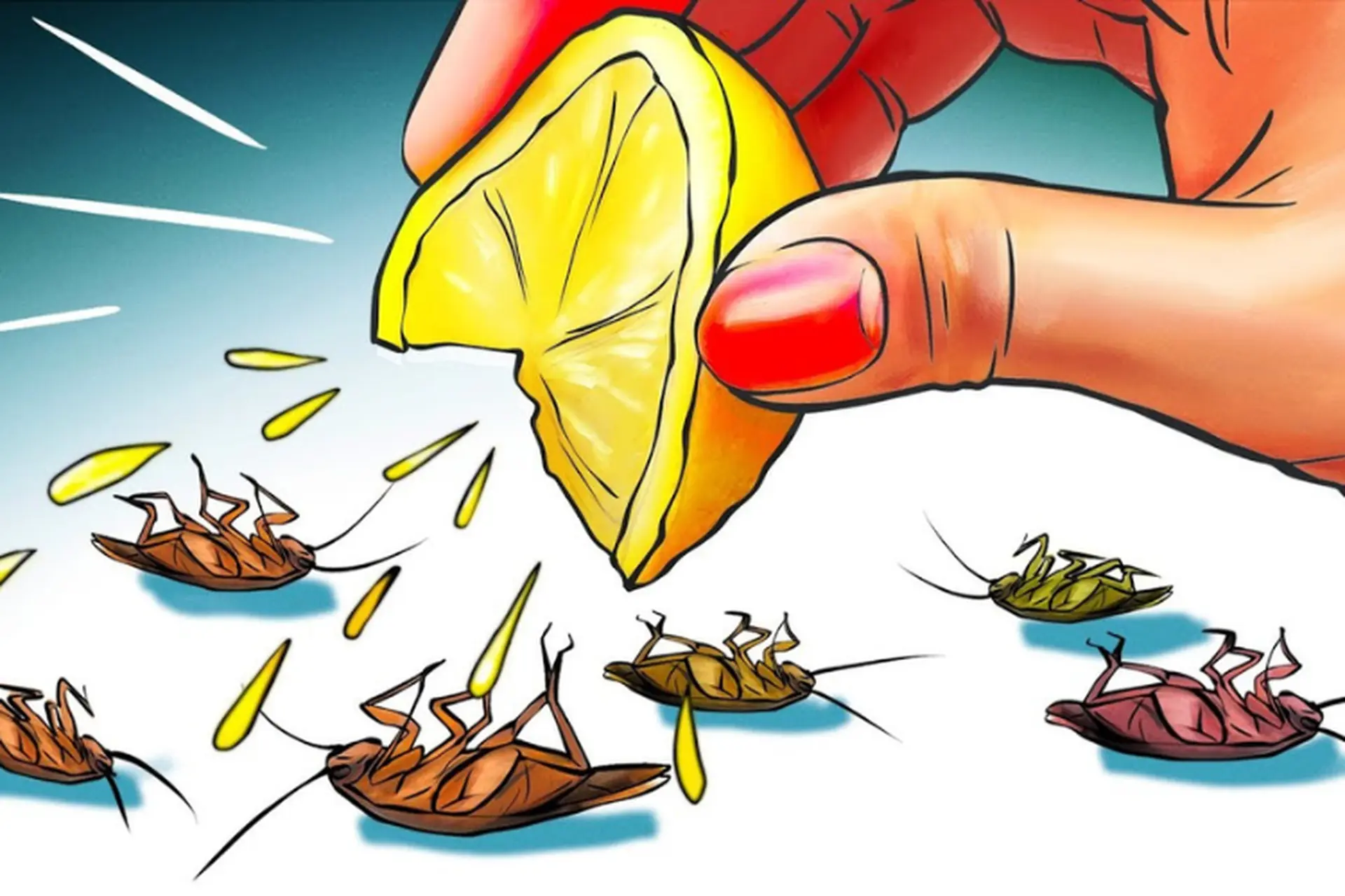 Mách bạn 15 cách đuổi gián ra khỏi nhà vĩnh viễn, dẹp ngay mối lo côn trùng