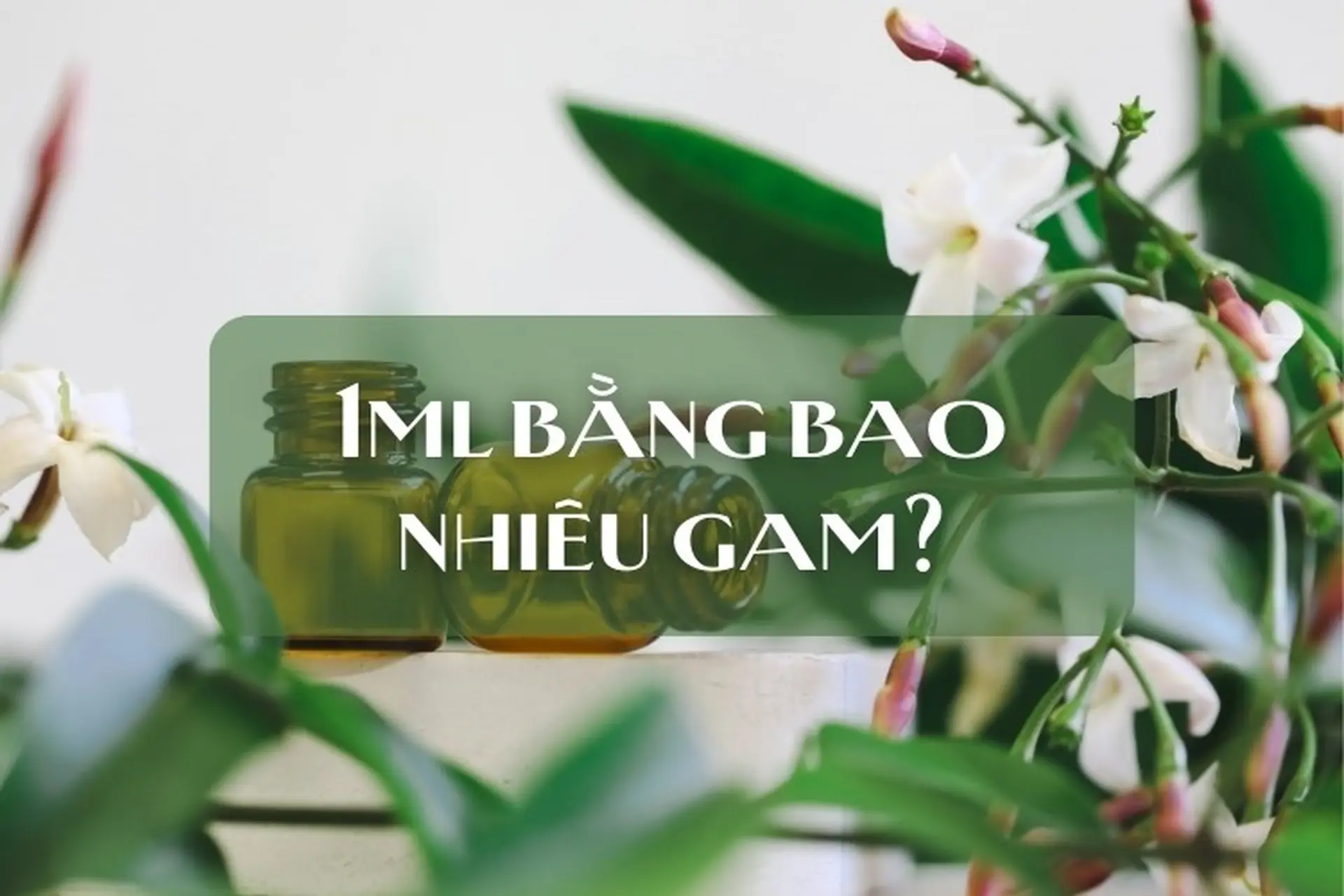 1ml bằng bao nhiêu gam? Hướng dẫn cách quy đổi chính xác nhất từ mililit sang gam