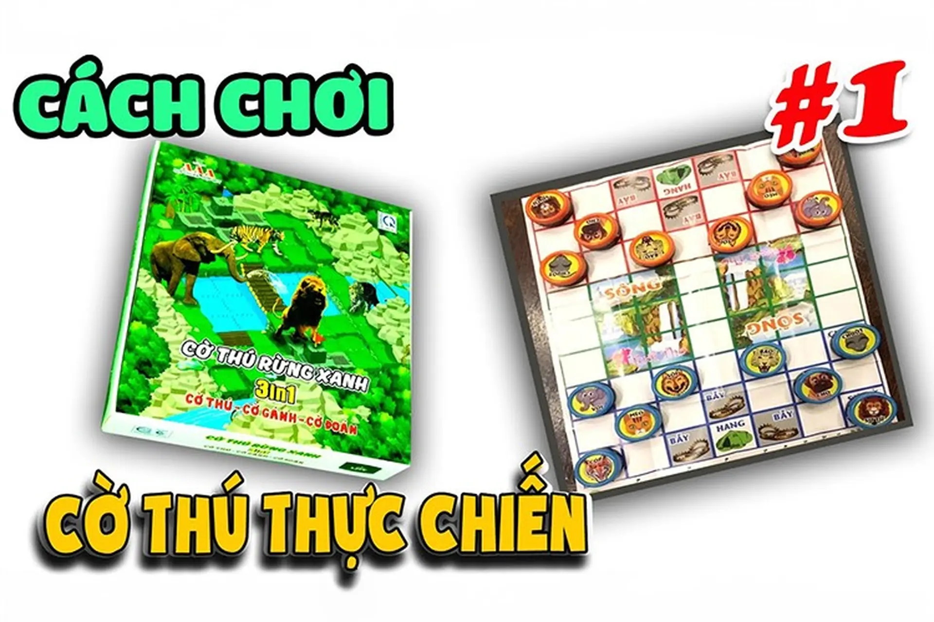 Cách chơi cờ thú đơn giản và dễ dàng giúp người chơi giành chiến thắng người chơi 