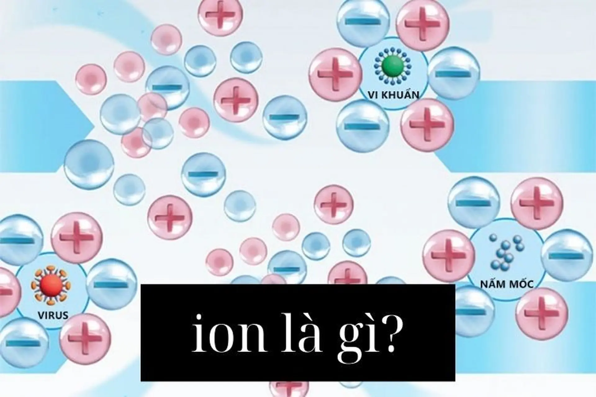 Ion là gì? Cơ chế hoạt động của ion ra sao? Tầm quan trọng của ion đối với sức khỏe của con người