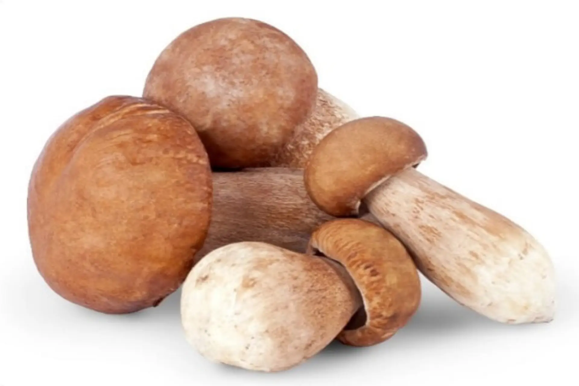 Nấm rơm nấu gì ngon? Top 8 những món ăn ngon từ nấm rơm thanh mát dành cho mùa hè