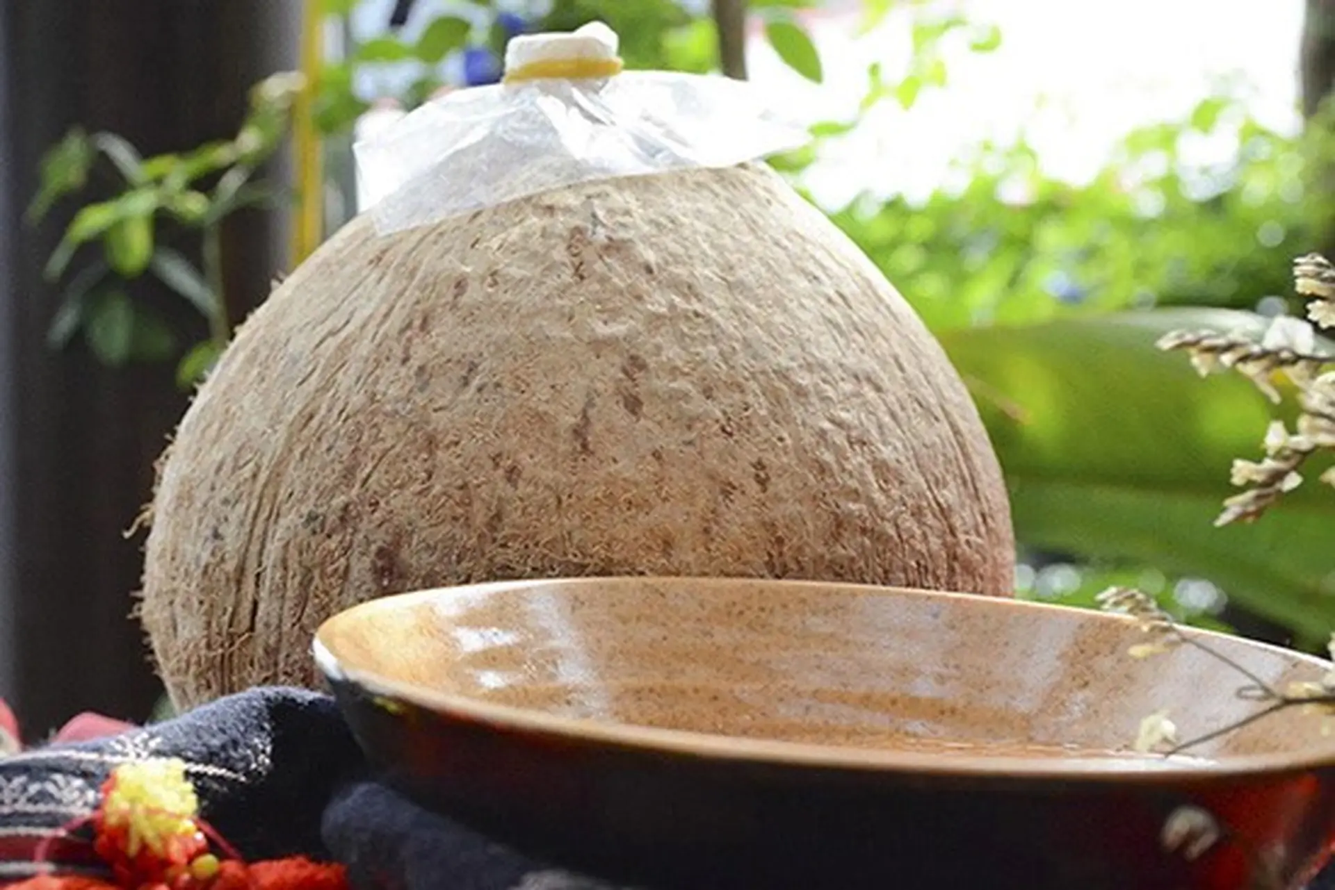 Tuyệt chiêu cách ngâm rượu dừa thơm ngon đậm đà để cả năm không hỏng rất ít người biết