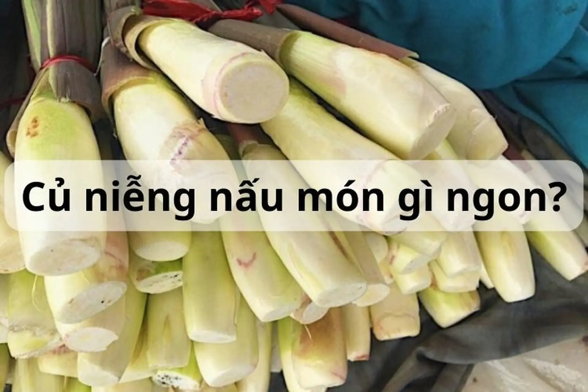 Củ niễng nấu món gì? 11 món ăn từ củ niễng thơm ngon, lạ miệng cho bữa cơm gia đình