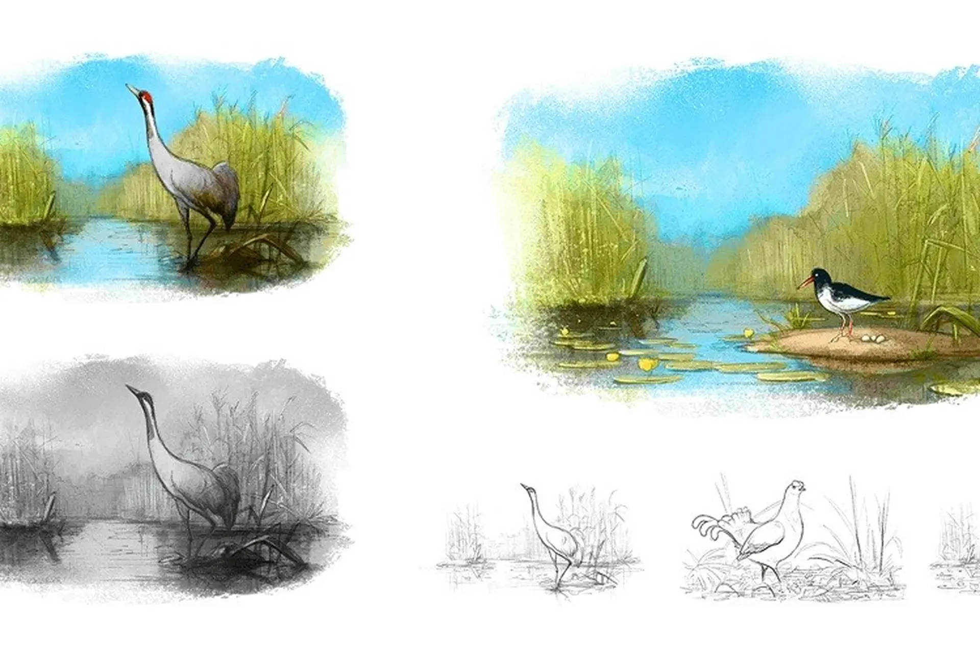 Concept Art là gì? Khám phá nền tảng nghệ thuật sáng tạo đánh thức mọi ý tưởng trong lĩnh vực nghệ thuật