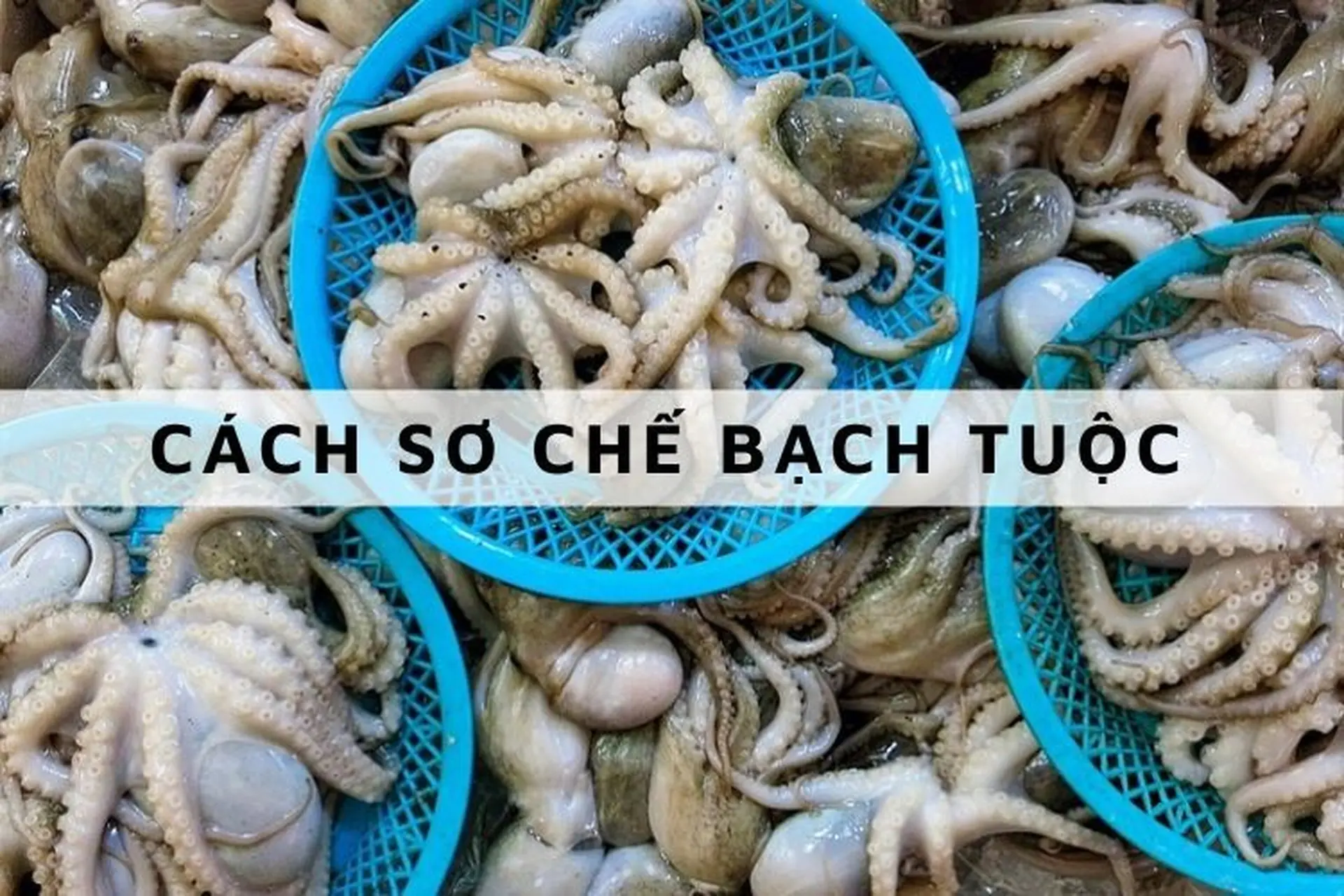 Hướng dẫn cách sơ chế bạch tuộc đơn giản, giữ nguyên độ tươi ngon mà không bị tanh