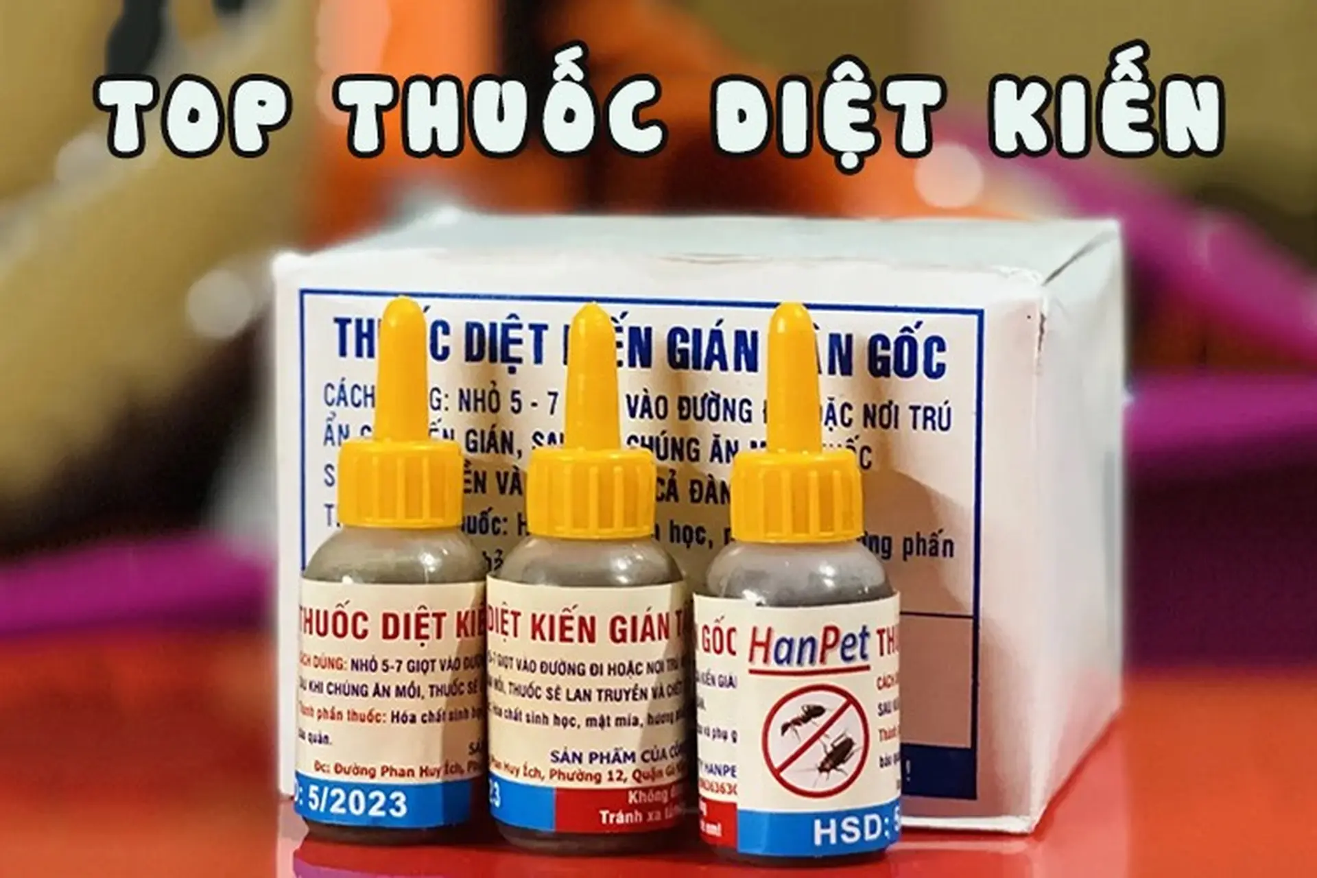 Top 12 thuốc diệt kiến sinh học tận gốc tốt nhất hiện nay mà bạn không nên bỏ qua