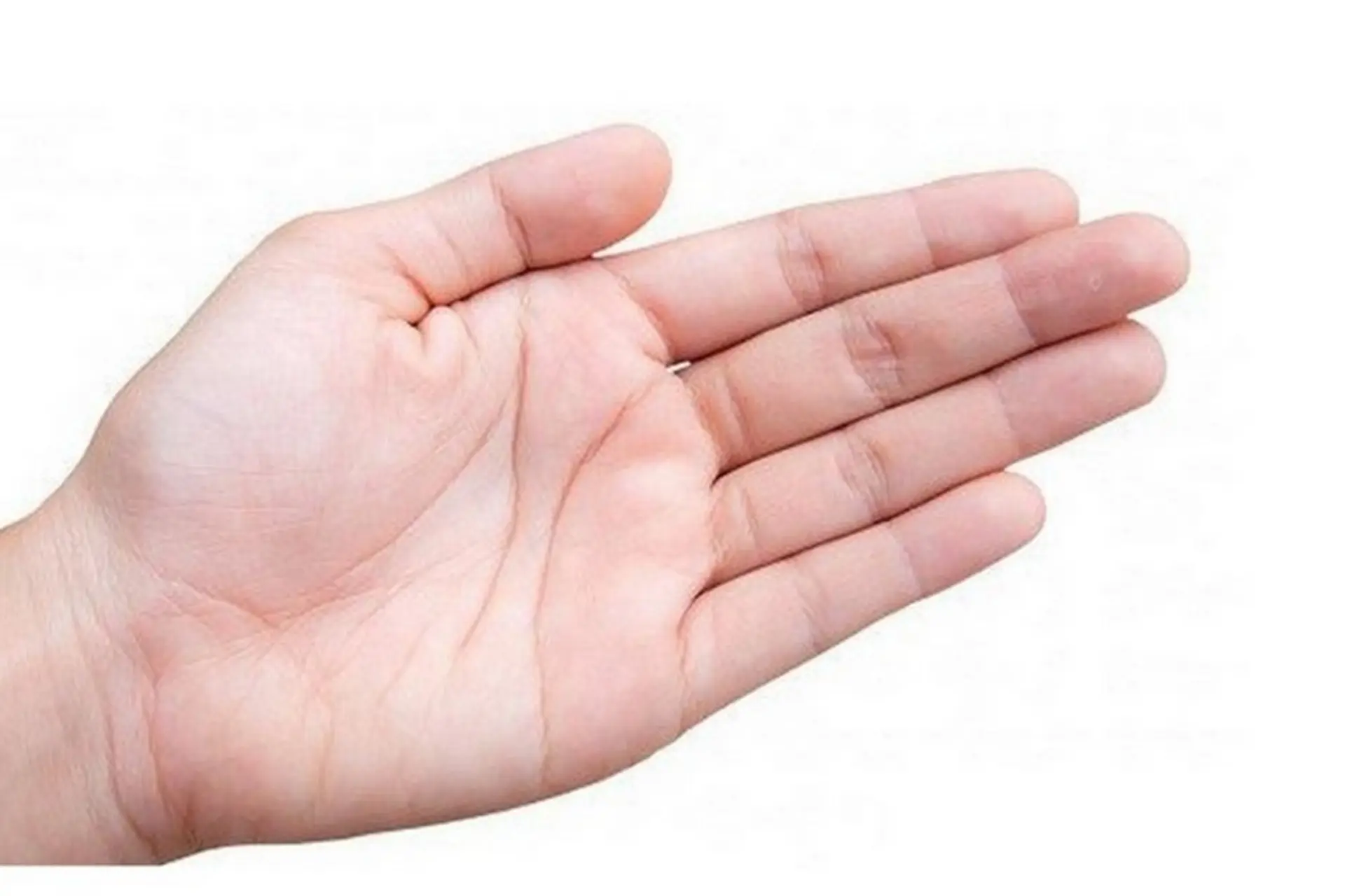 7 hoa tay có ý nghĩa gì? Người sở hữu 7 hoa tay sẽ mang vận mệnh gì, cuộc sống giàu sang phú quý hay nghèo khó?
