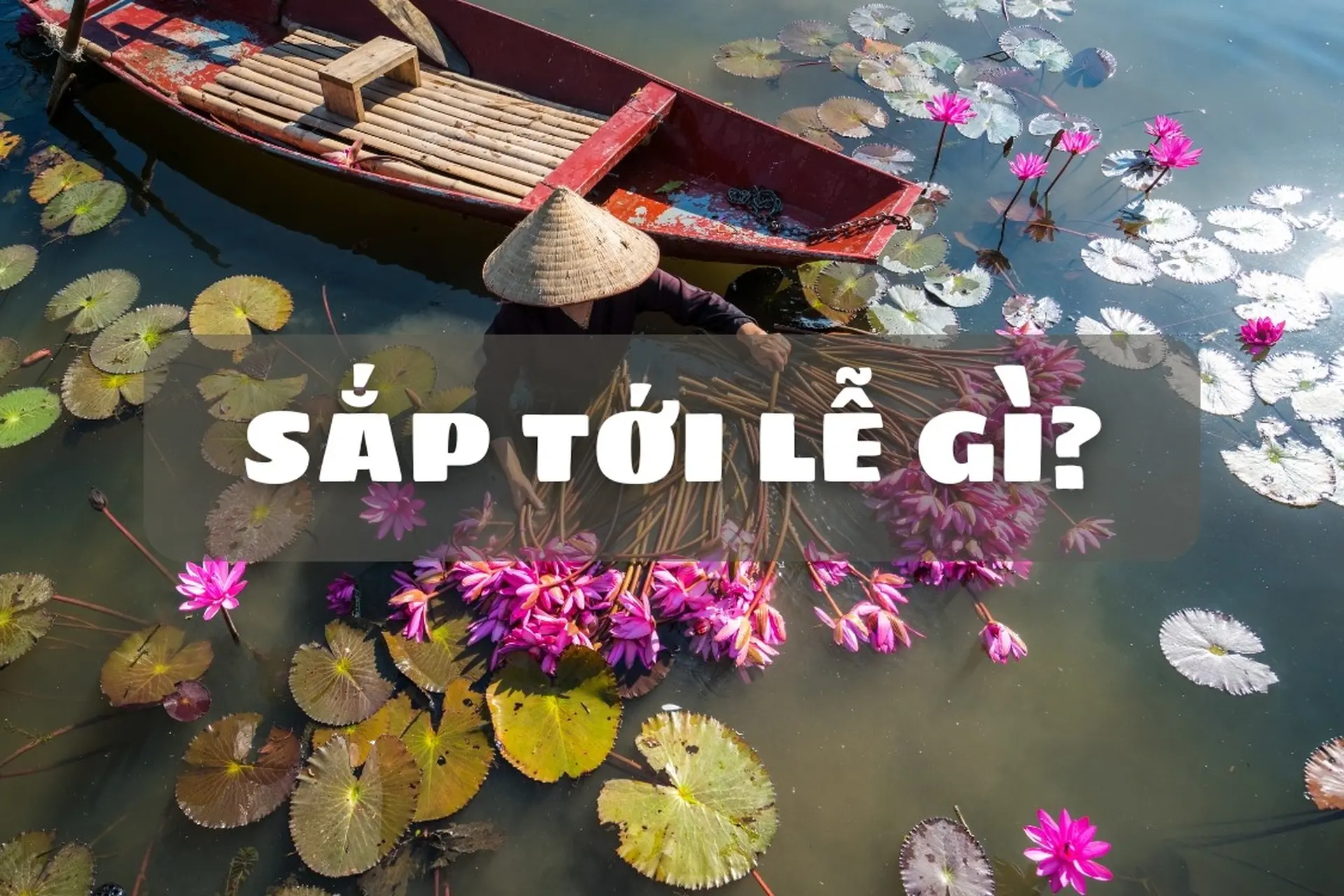 Sắp tới lễ gì? Lưu ngay tổng hợp đầy đủ nhất danh sách các ngày lễ trong năm 2024