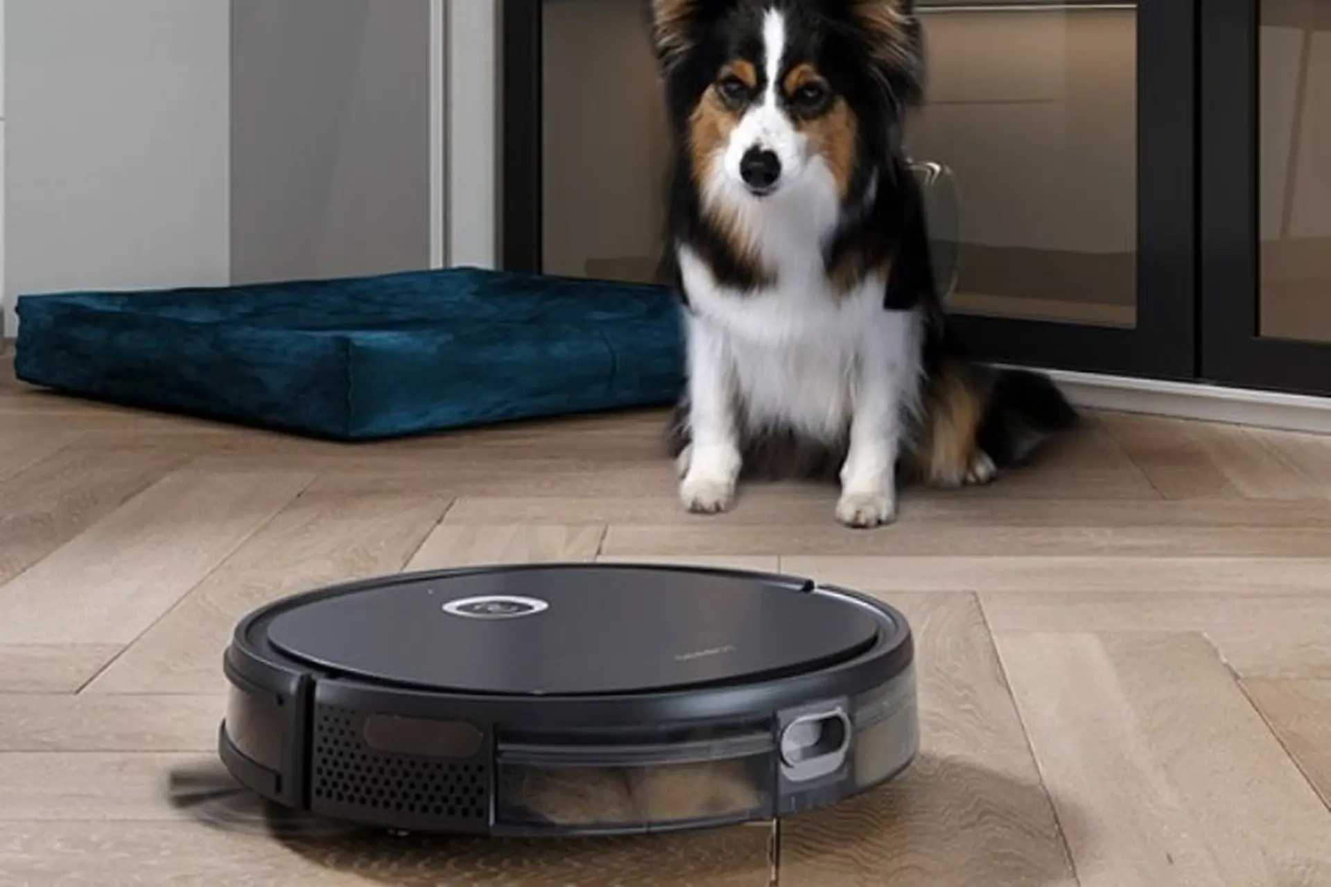 Robot hút lông chó mèo có được không? Tiêu chí chọn máy hút bụi lau nhà thông minh