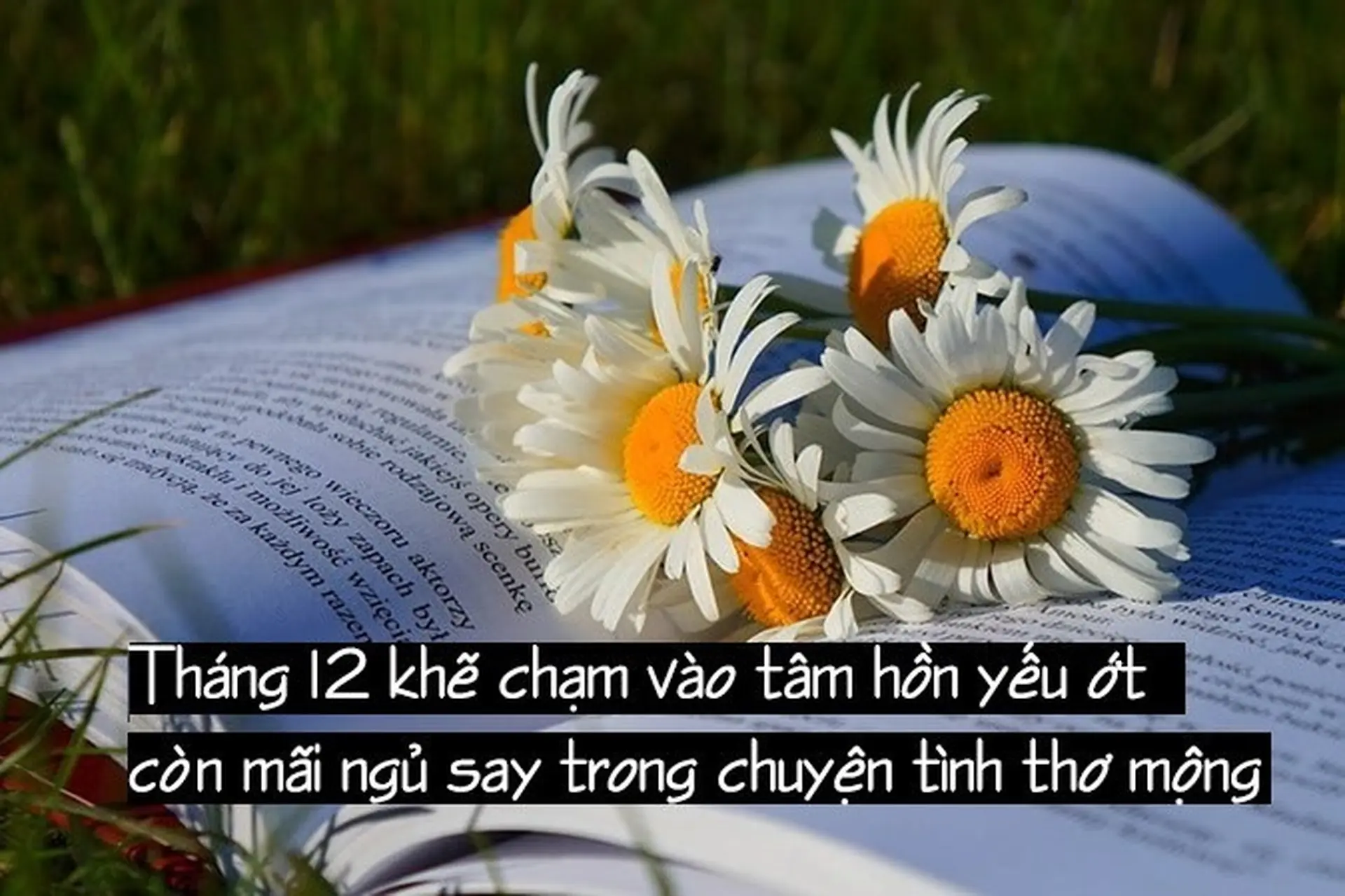 STT tháng 12, caption hay chào tháng 12 ấm áp, đáng yêu, hay và ý nghĩa nhất​