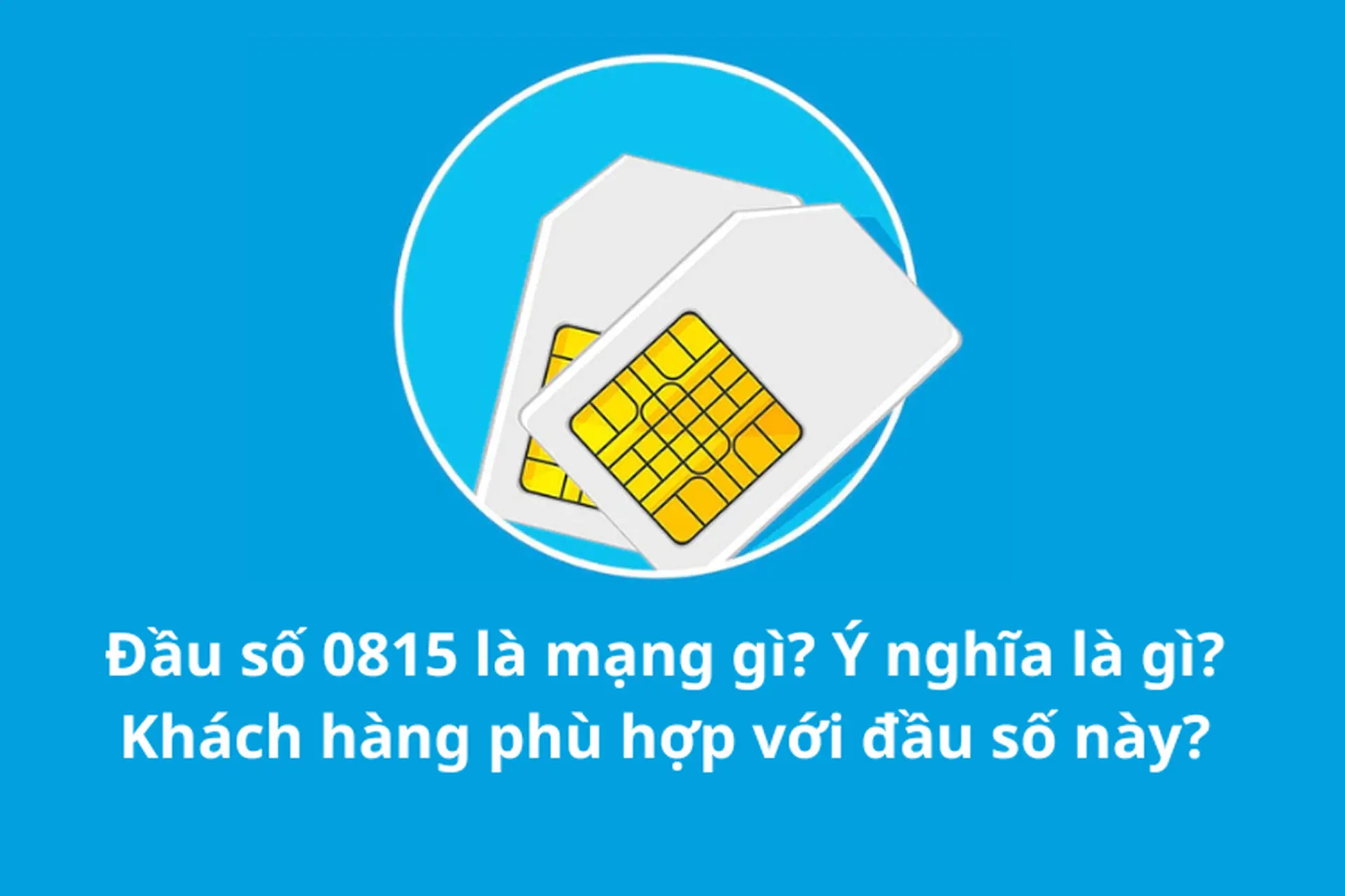 Đầu số 0815 là mạng gì? Ý nghĩa là gì? Khách hàng nào phù hợp với đầu số này?
