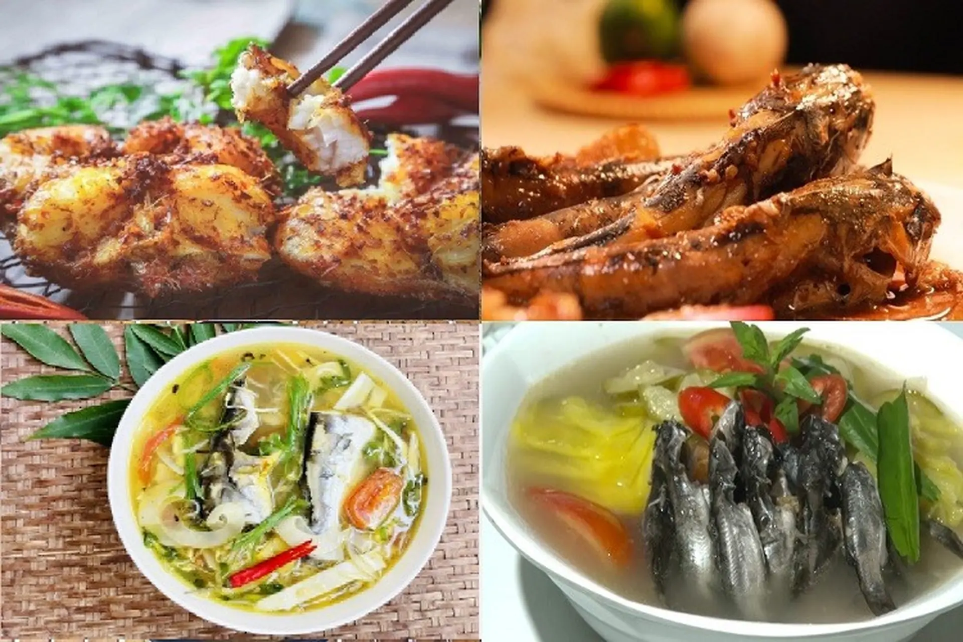 Cá ngạnh làm món gì để vừa ngon miệng vừa bổ dưỡng? Khám phá 6 món ngon hấp dẫn làm từ cá ngạnh