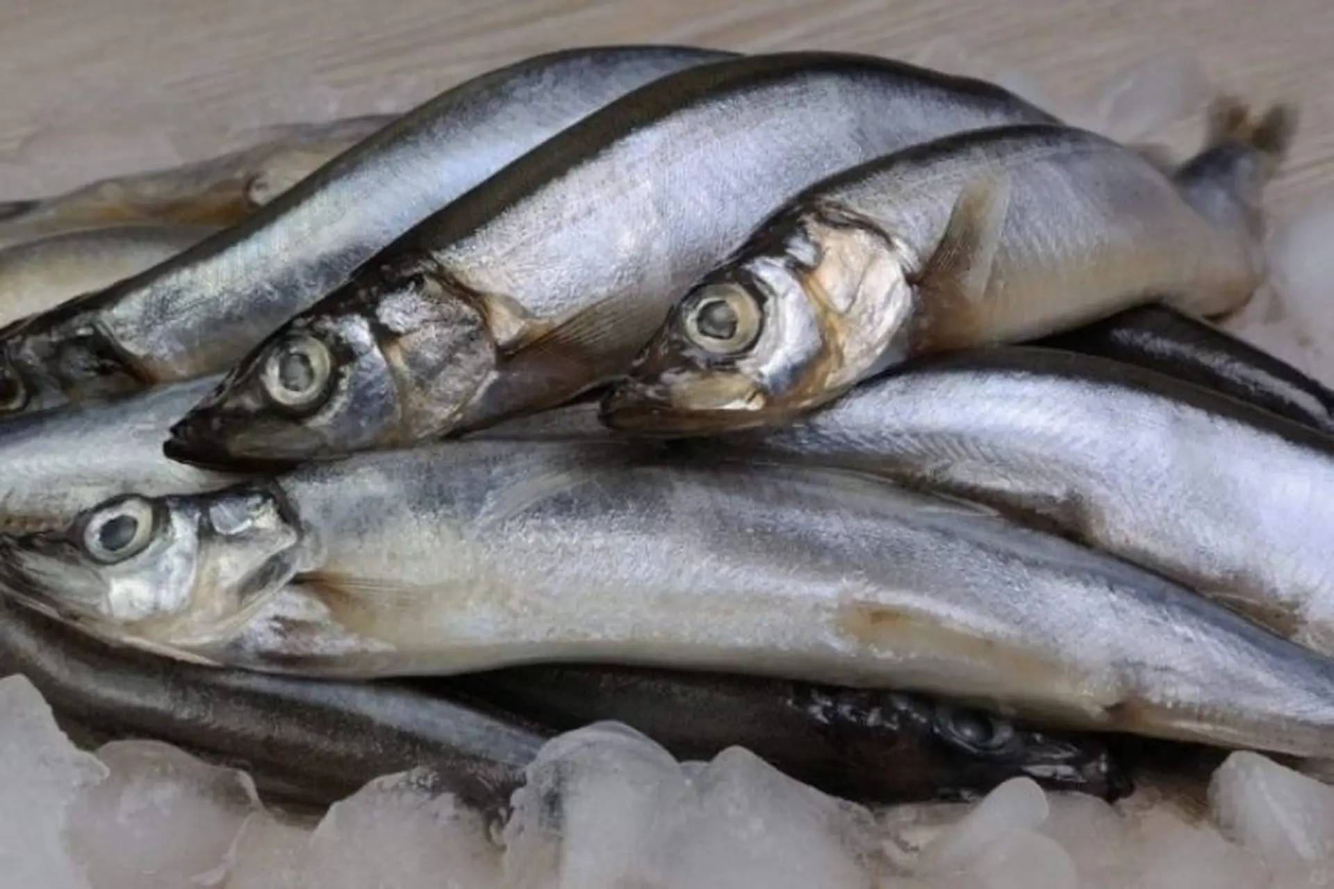 Cá trứng là gì? Lợi ích đối với sức khoẻ và cách làm các món cá trứng ngon miệng, hấp dẫn