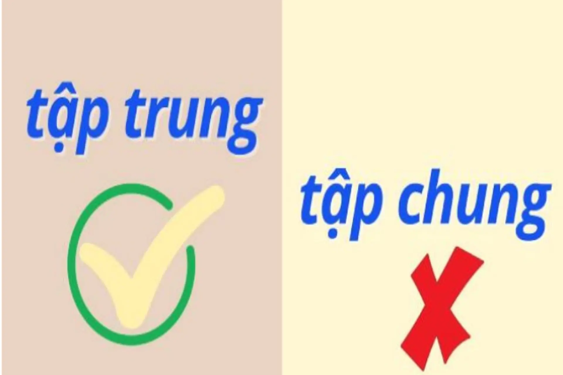 Tập trung hay tập chung là đúng chính tả? Cách phân biệt và viết đúng ngữ pháp