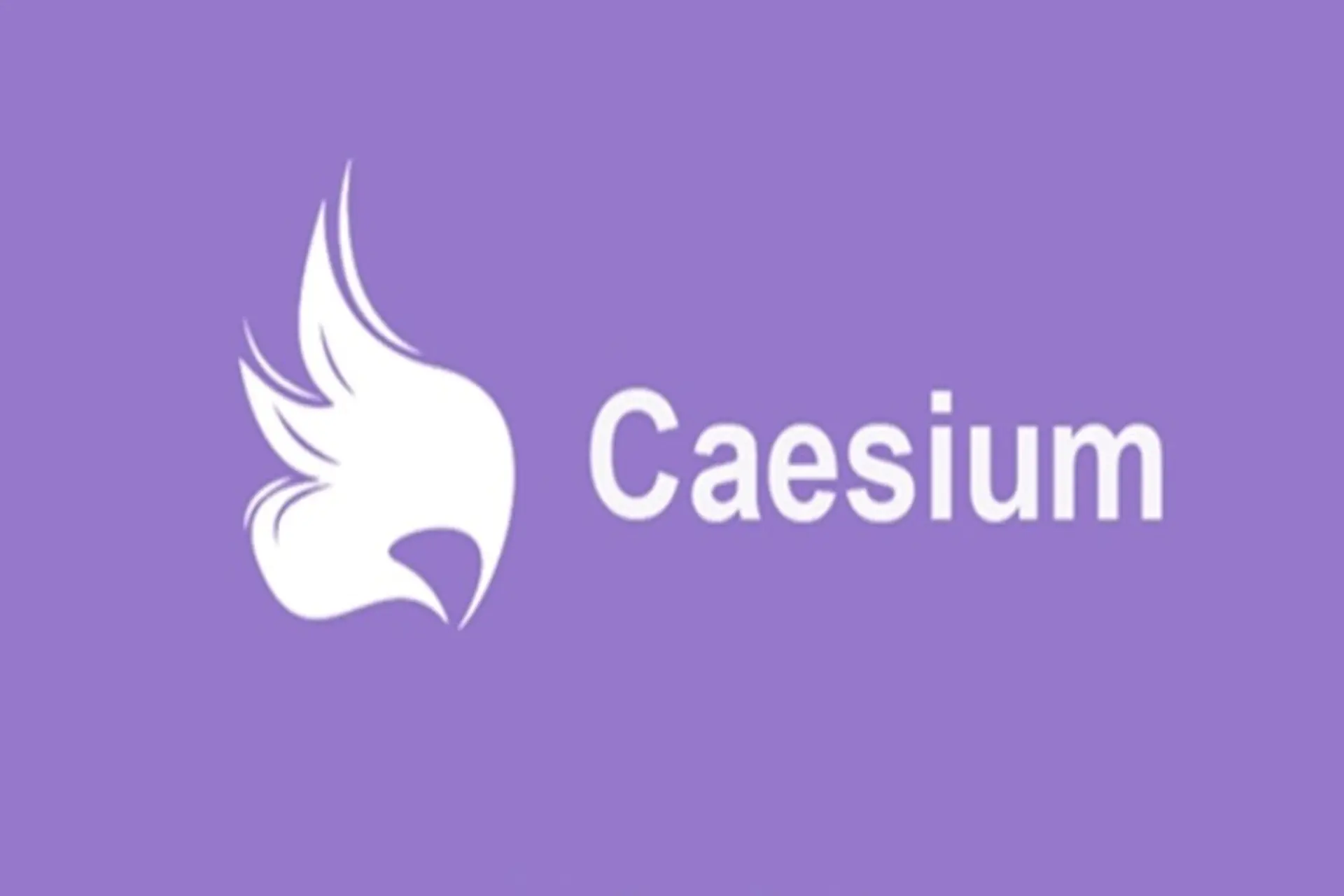 Khám phá sức mạnh của Caesium: Công cụ nén ảnh miễn phí có chất lượng hàng đầu