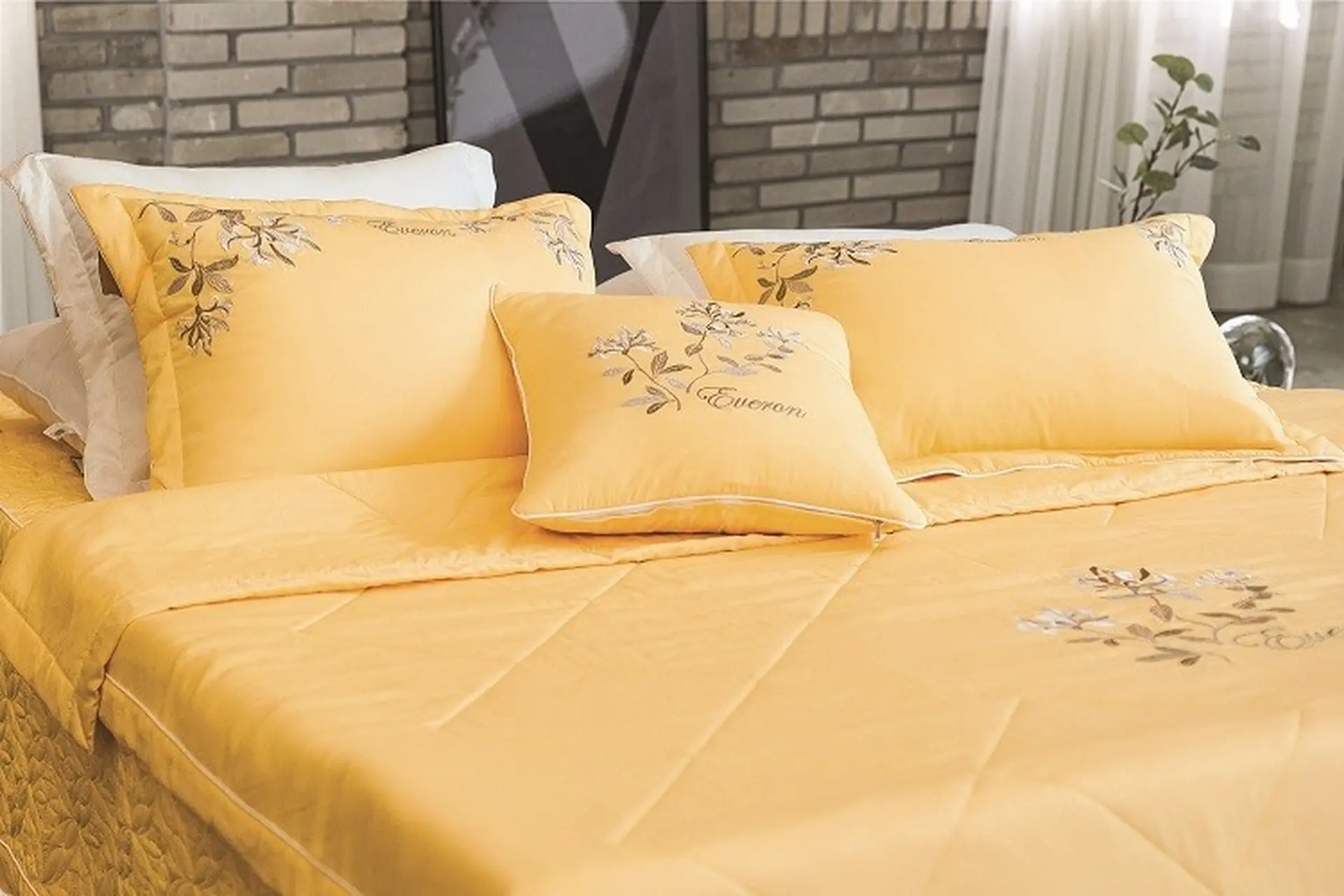 Hướng dẫn cách chọn màu chăn ga gối đệm theo phong thủy hợp mệnh của bạn năm 2024
