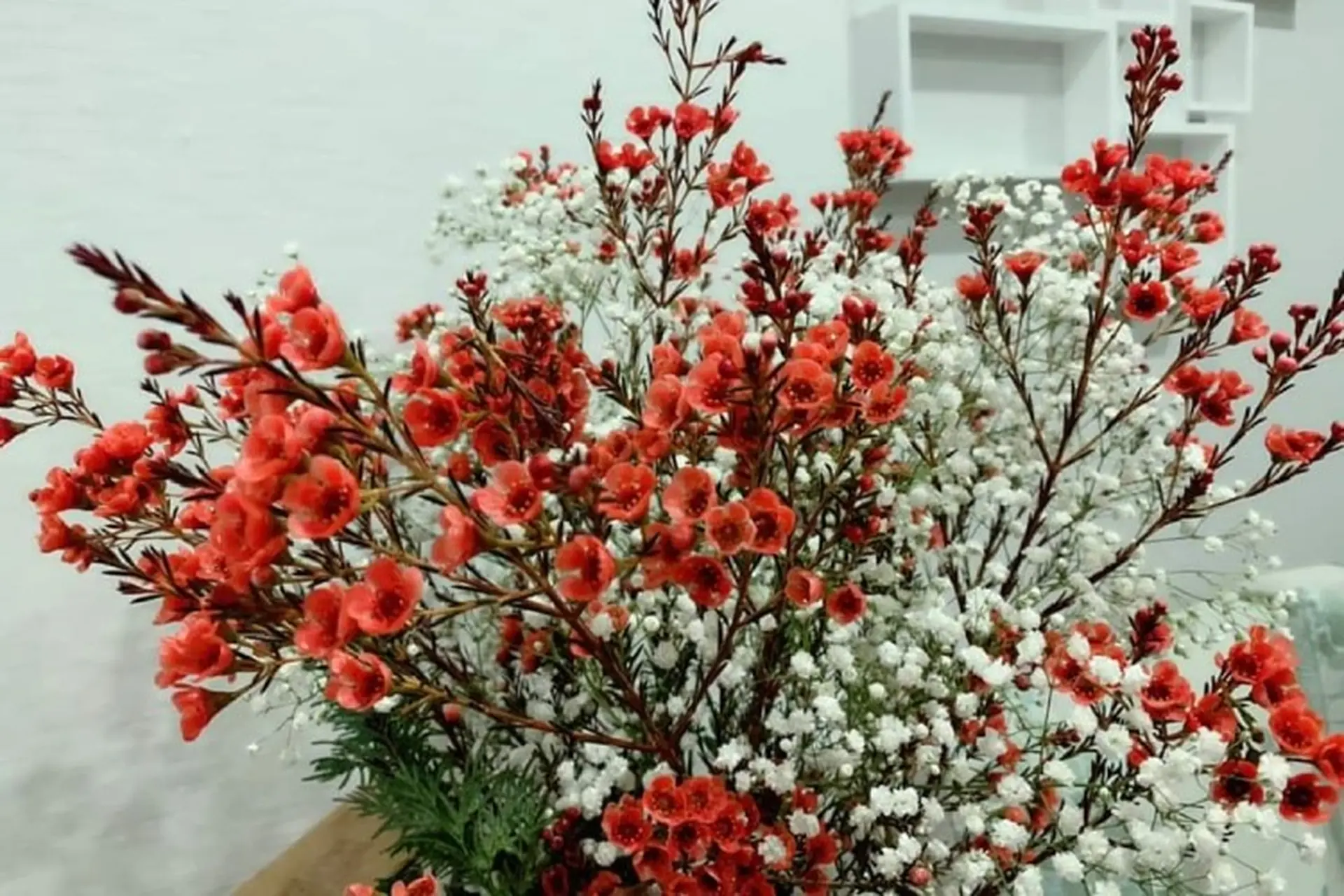 Lưu ngay cách cắm hoa thanh liễu bắt mắt, ấn tượng, hoa giữ được độ tươi lâu nhất