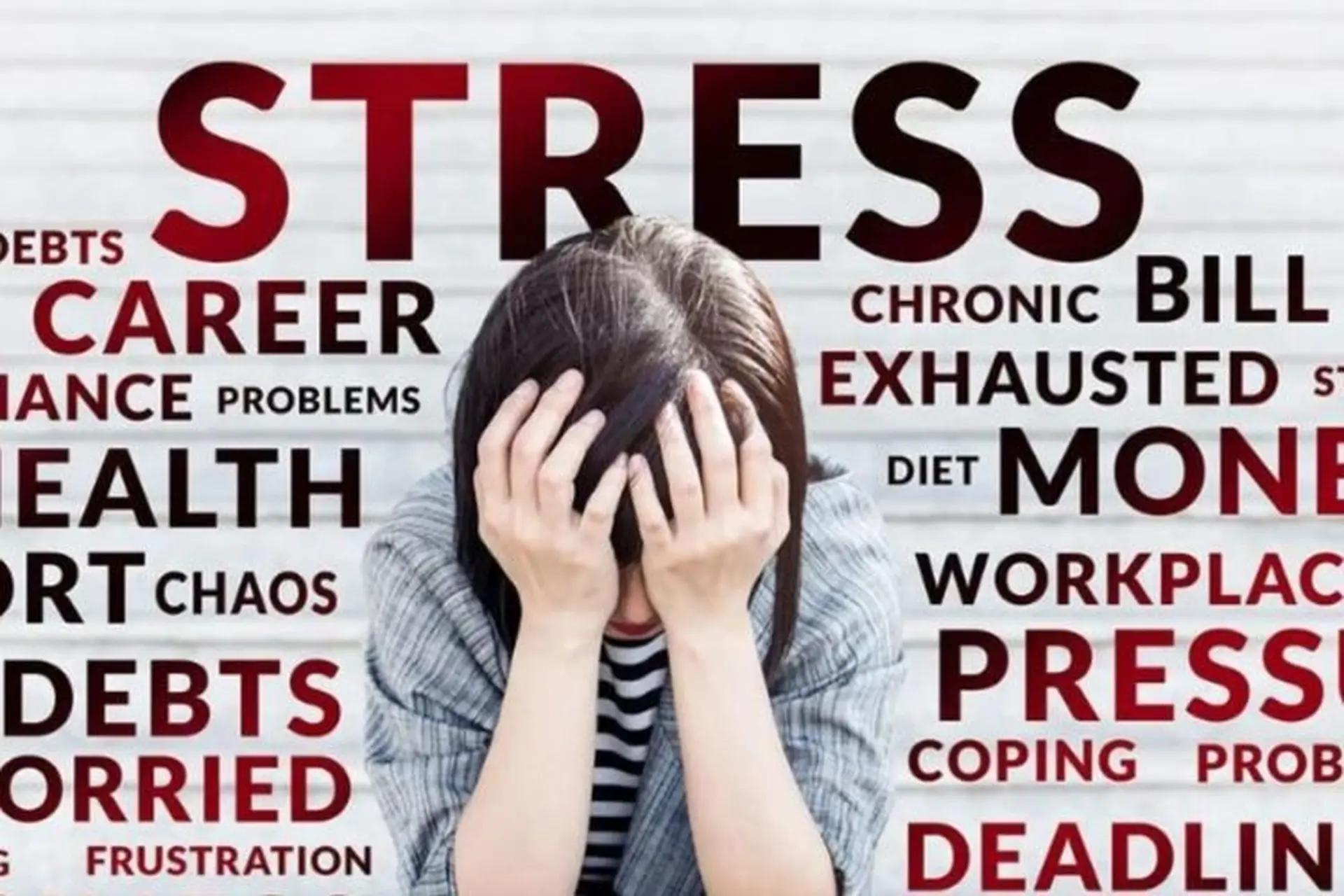 Stress là gì? Những nguyên nhân nào dẫn đến tình trạng stress? Phương pháp khắc phục stress hiệu quả