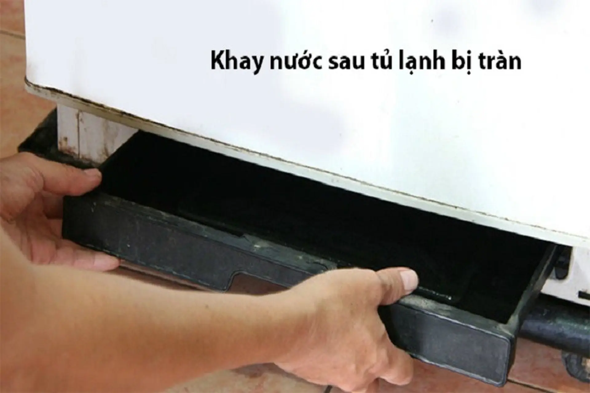 Khay nước sau tủ lạnh bị tràn nguyên nhân do đâu? Cách khắc phục hiệu quả tại nhà