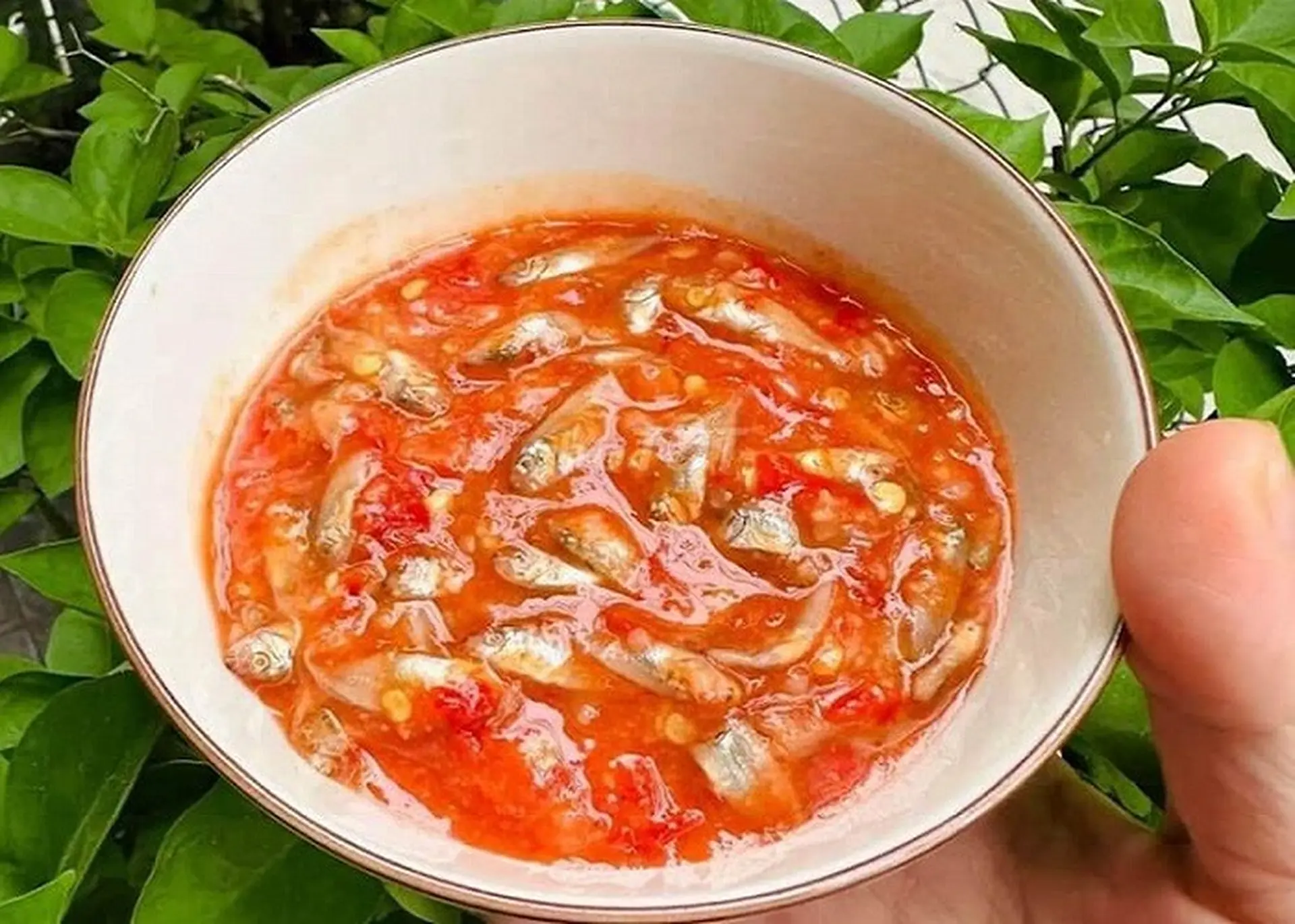 Học cách món làm mắm cá rò đặc sản nổi tiếng xứ Huế cay thơm, đậm đà lạ miệng