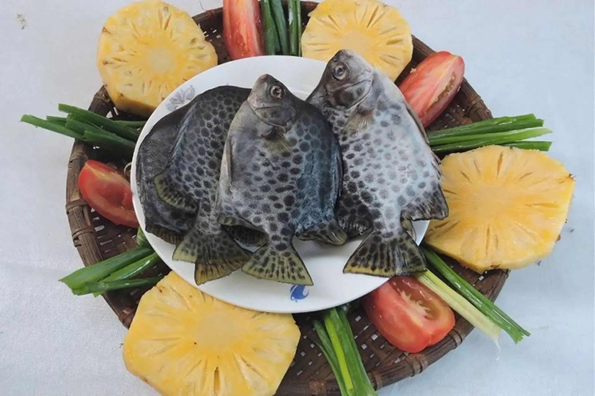 Cá dìa là cá gì? Các món ăn thơm ngon, bổ dưỡng được chế biến từ cá dìa mà bạn nên biết