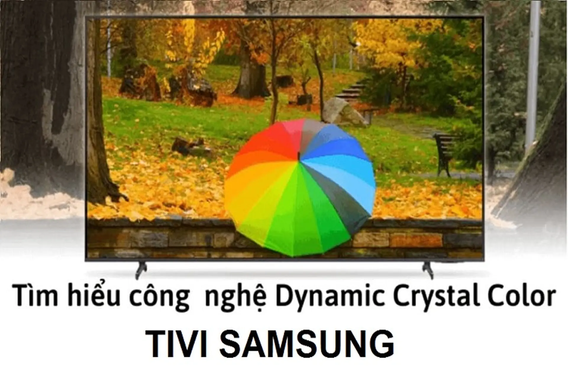 Công nghệ Dynamic Crystal Color là gì? Điểm khác biệt giữa Dynamic Crystal Color và PurColor trên tivi Samsung
