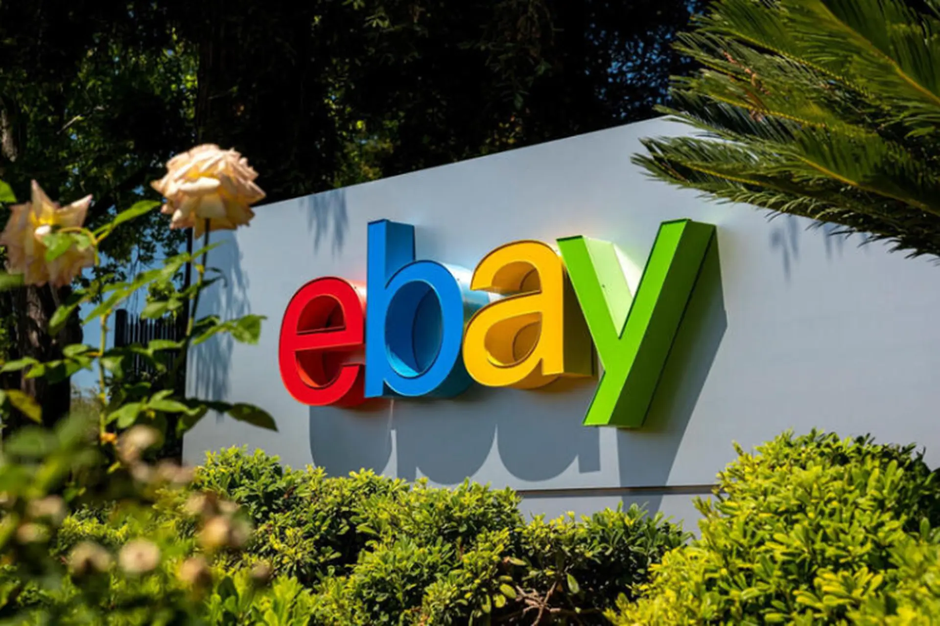 Hướng dẫn cách mua hàng eBay đơn giản cho người mới và những lưu ý cần biết