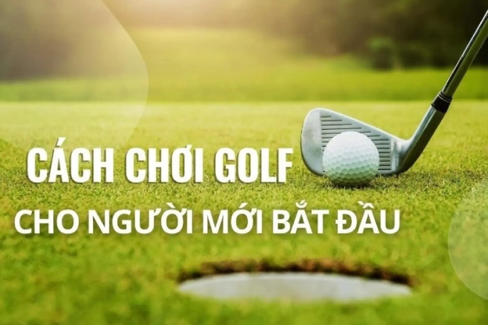 Cách chơi golf - Bí kíp "chinh phục" sân golf dành cho những người mới bắt đầu