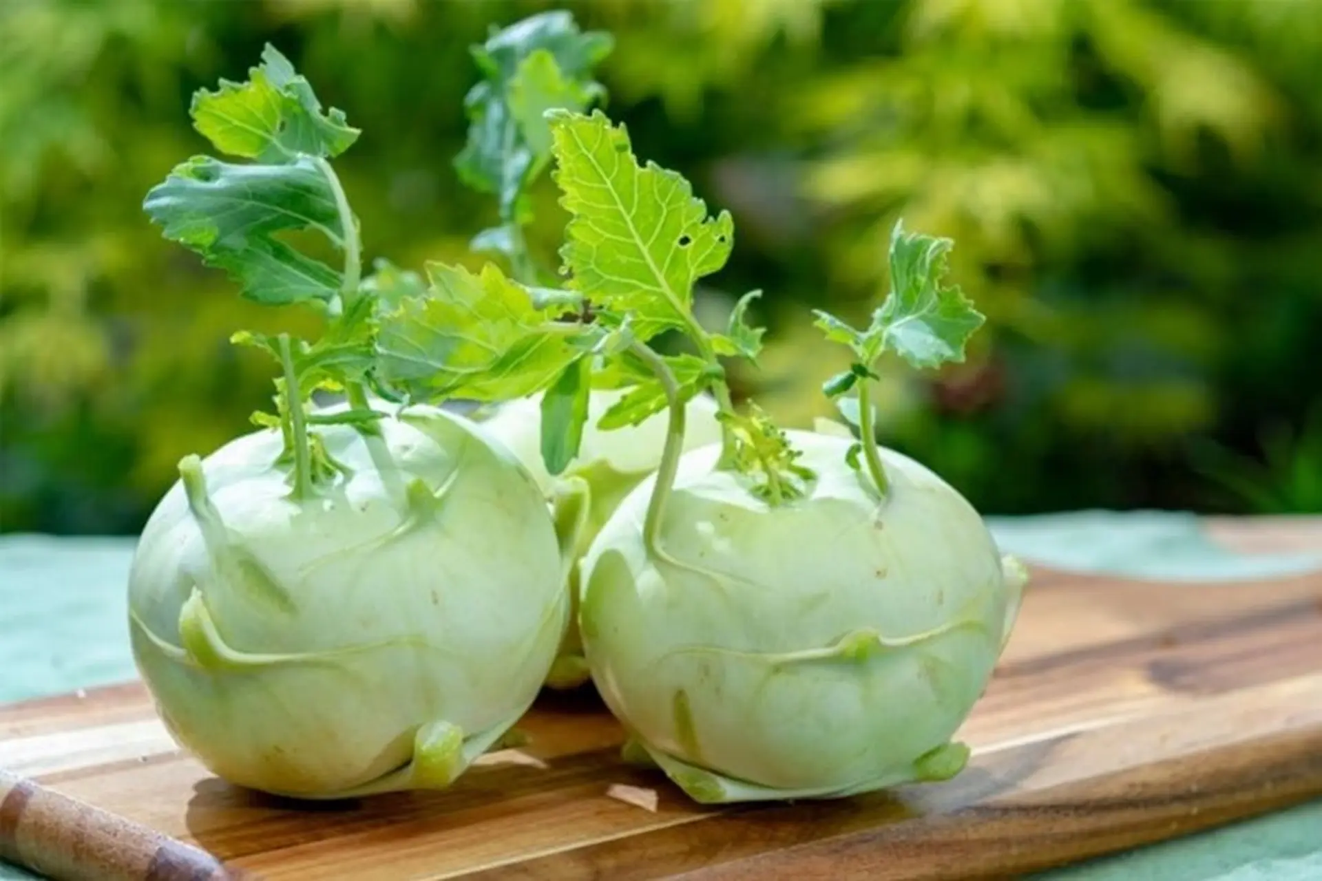 Quả su hào có công dụng gì? Gợi ý 3 món ngon từ quả su hào mà bạn không nên bỏ lỡ!