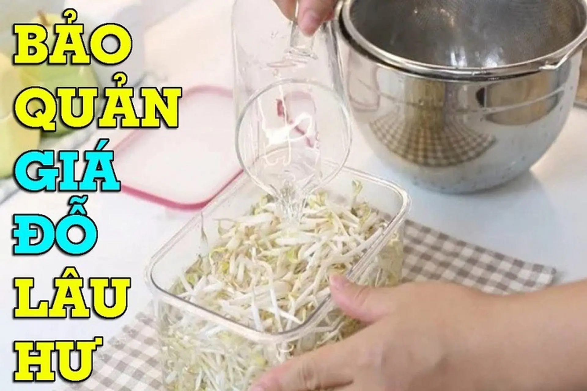 Tổng hợp 4 cách bảo quản giá đỗ tươi nguyên suốt tuần, tránh tình trạng hư hỏng