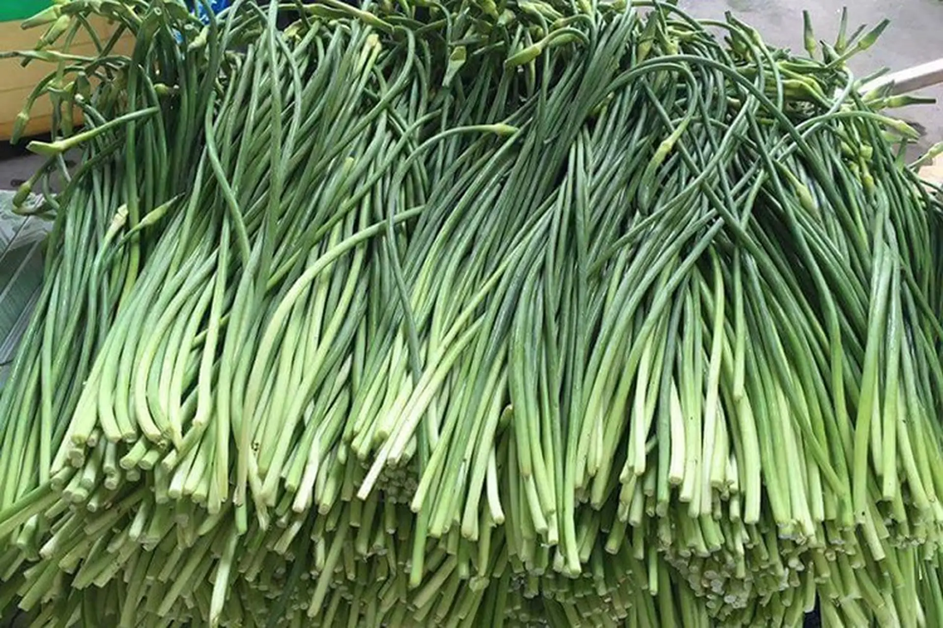 Ngồng tỏi là gì? Mách bạn tất tần tật về ngồng tỏi, các loại ngồng tỏi và công dụng của nó 