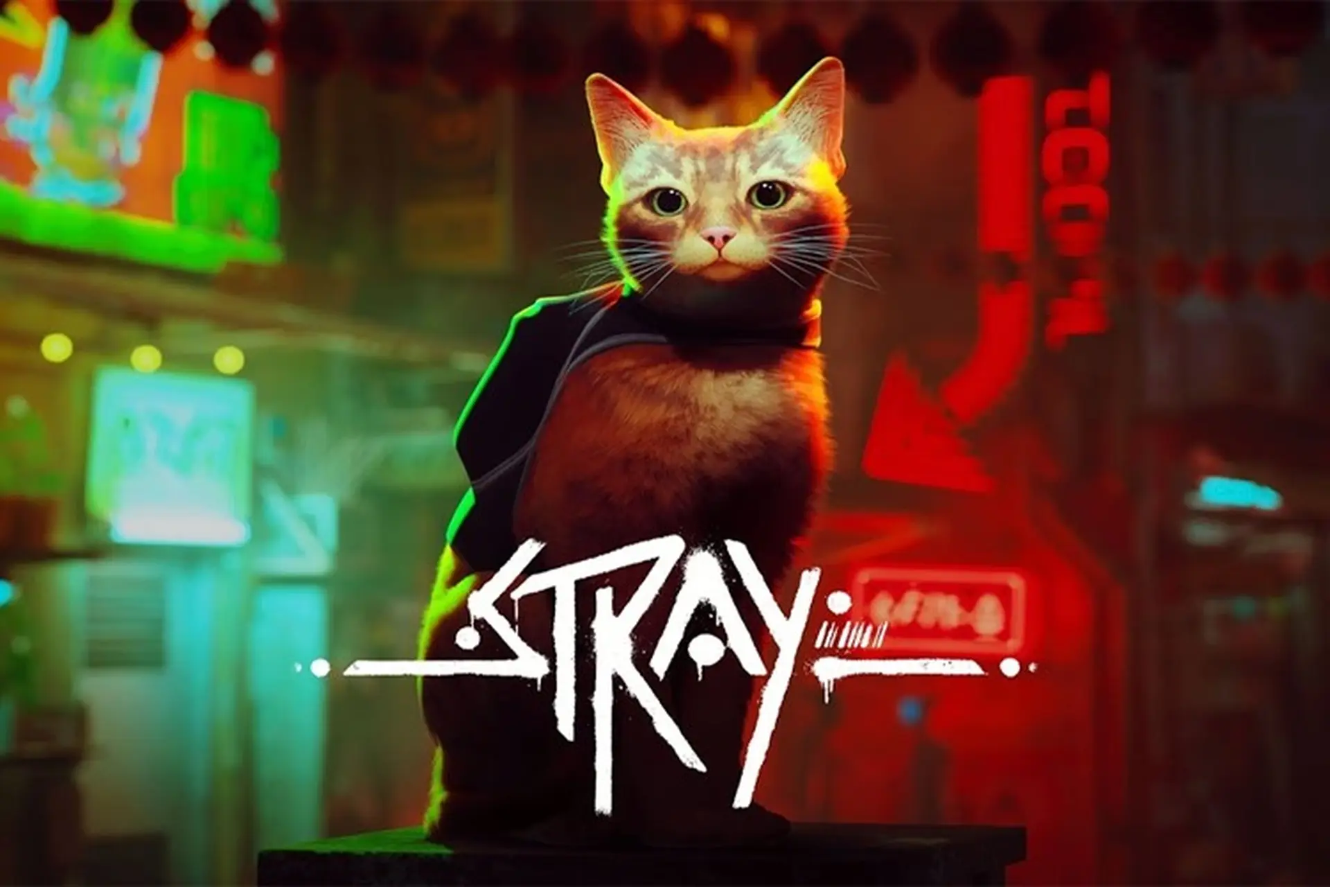 Game Stray: Chú mèo hoang dũng cảm chinh phục thế giới Cyberpunk đầy nguy hiểm
