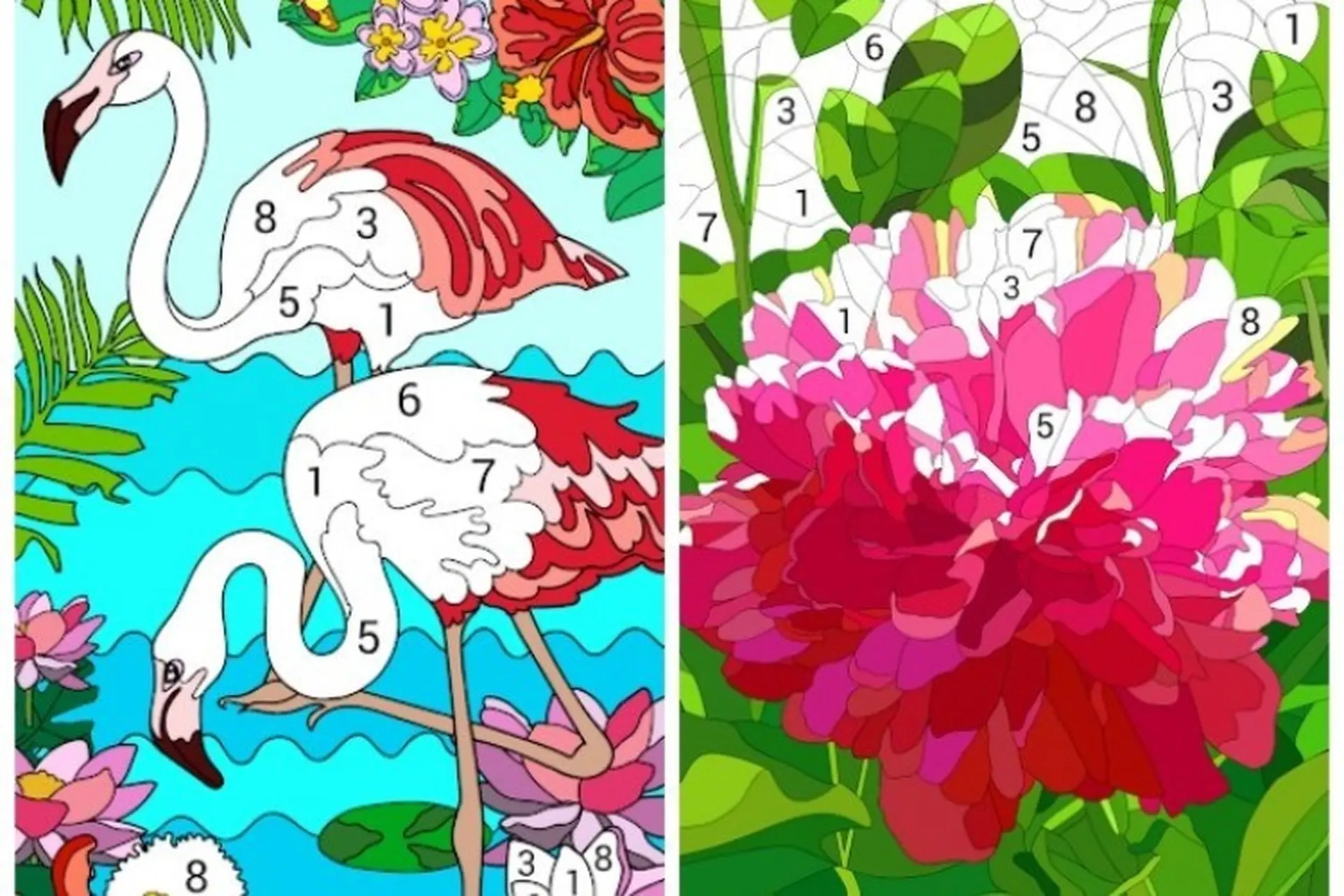 Happy Color: Trò chơi tô màu miễn phí sáng tạo với rất nhiều những hình ảnh đẹp bắt mắt