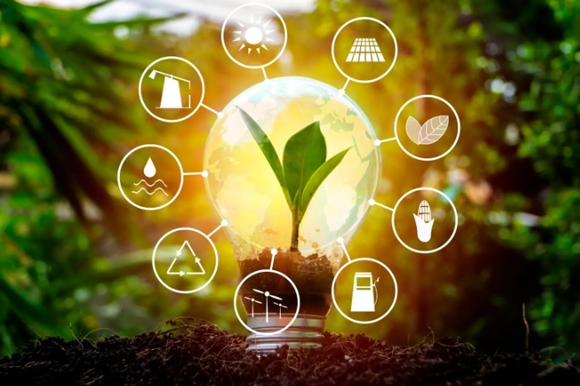 7 biện pháp tiết kiệm điện dễ không tưởng, nhẹ gánh hóa đơn tiền điện hàng tháng