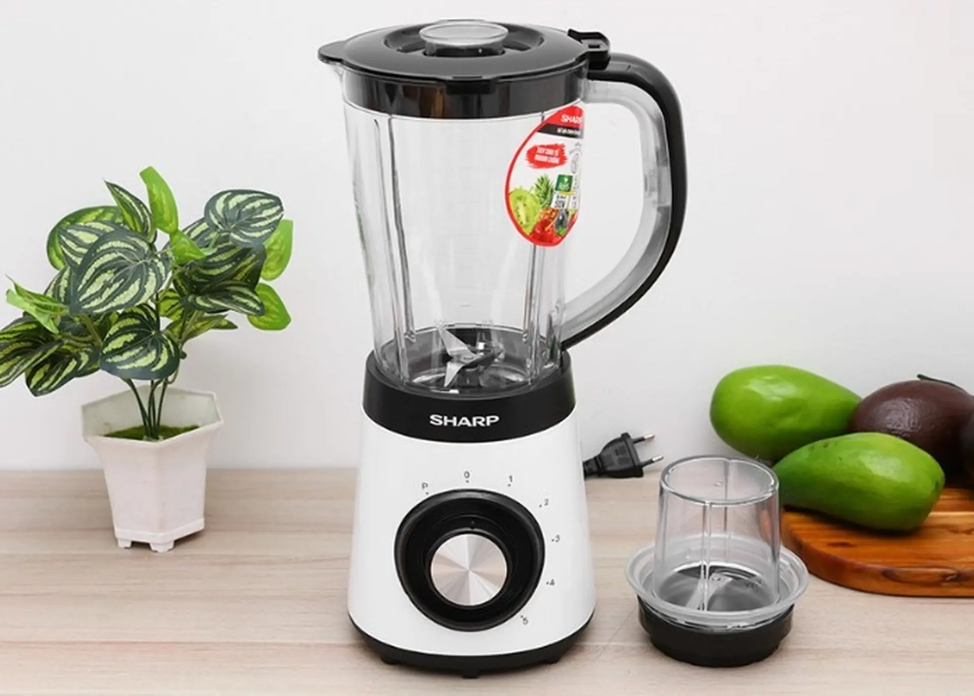 Máy xay sinh tố Sharp loại nào tốt nhất 2024? Gợi ý những dòng máy vừa rẻ vừa bền bỉ