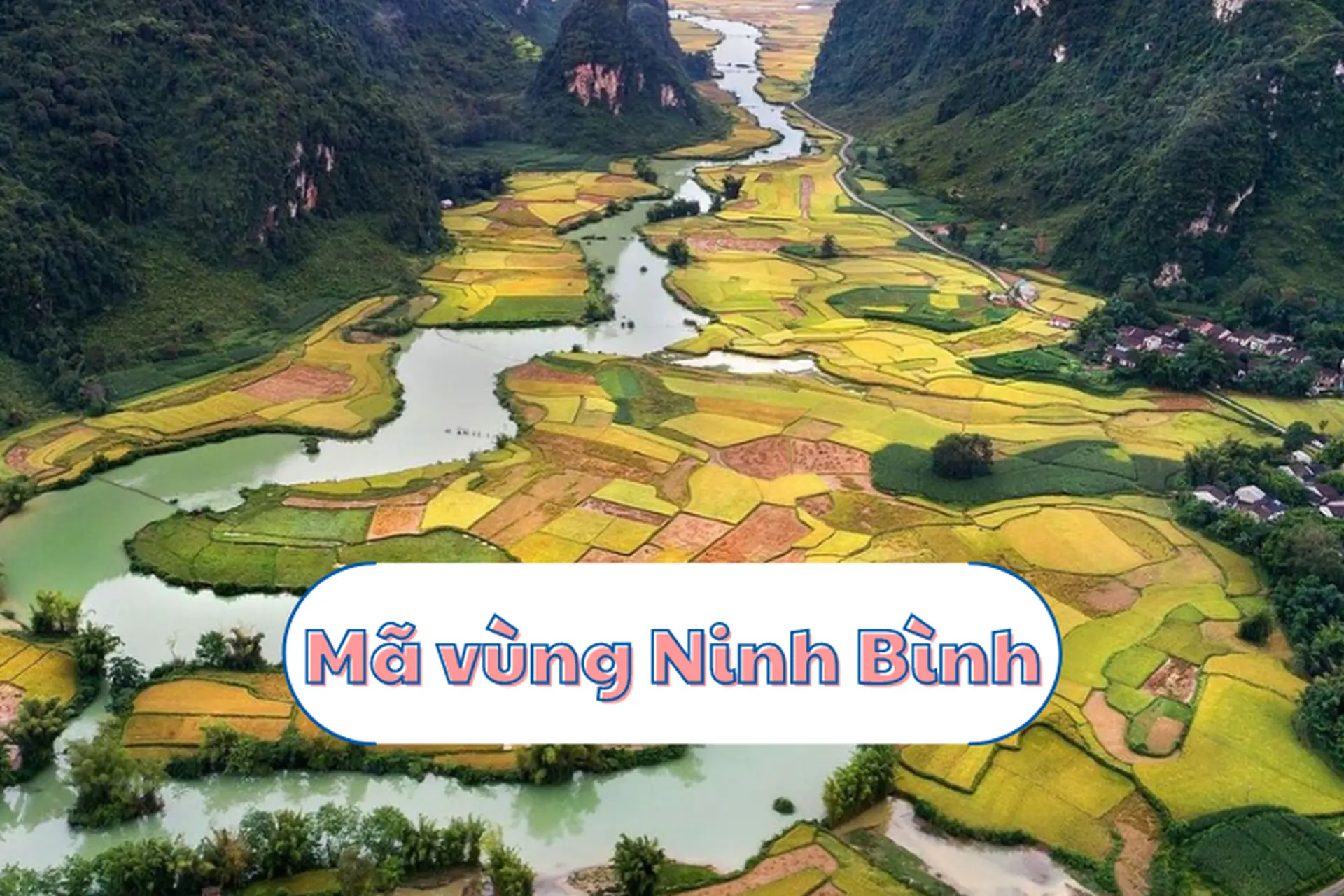 Mã vùng Ninh Bình là gì? Tổng hợp những thông tin mới mẻ về mã vùng Ninh Bình