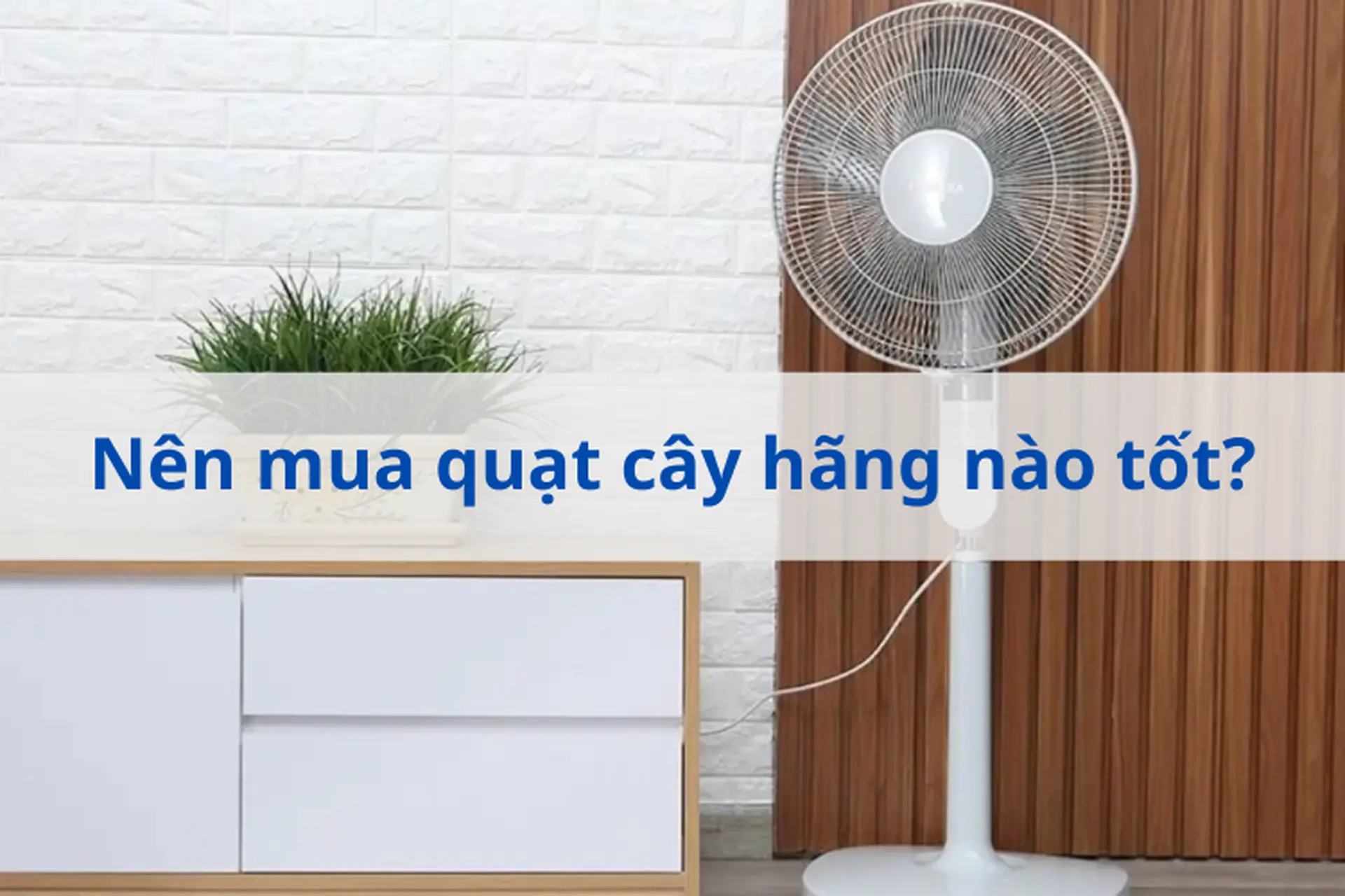 Nên mua quạt cây hãng nào tốt? Kinh nghiệm khi mua quạt cây đảm bảo chất lượng