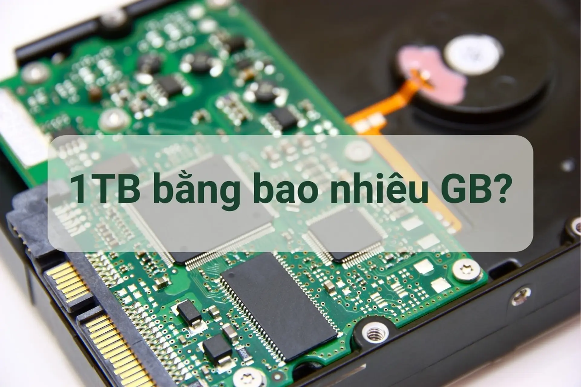 1TB bằng bao nhiêu GB? Khám phá chi tiết định nghĩa về Terabyte (TB) là gì?