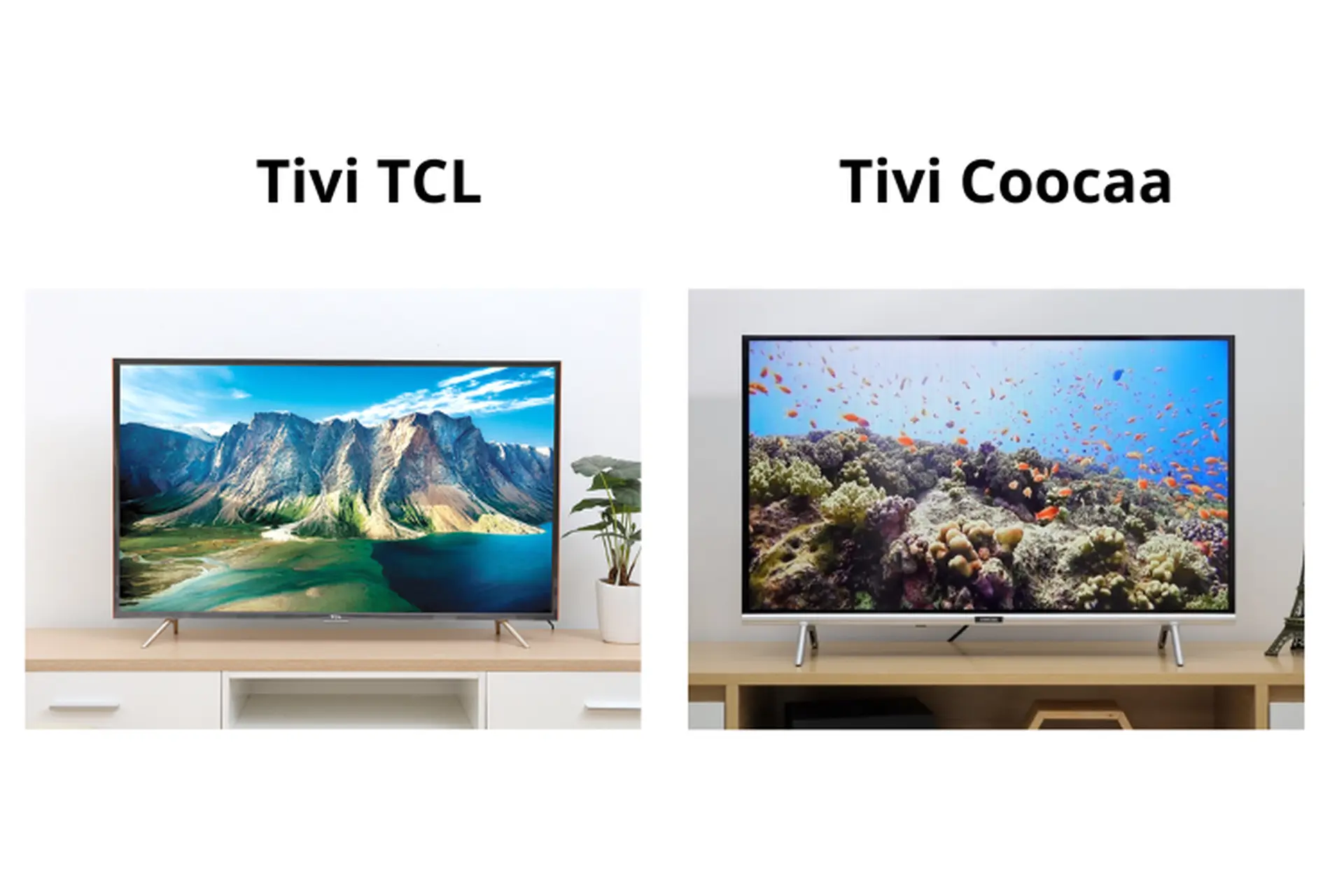 So sánh tivi Coocaa và TCL - đâu mới là lựa chọn tốt nhất cho gia đình bạn?