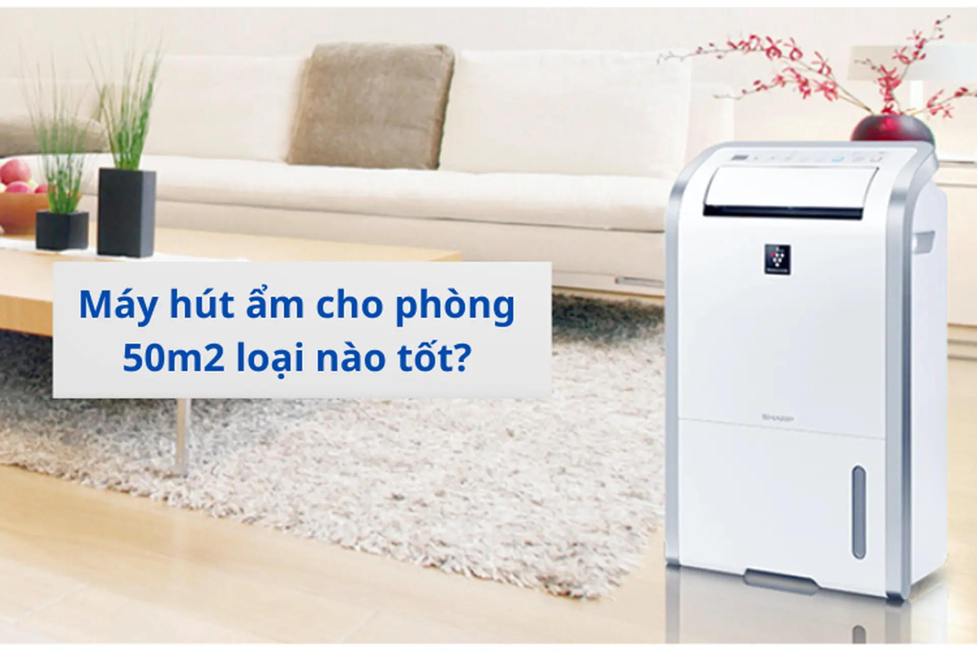 Gợi ý 5 mẫu máy hút ẩm cho phòng 50m2 tốt nhất và an toàn cho gia đình của bạn