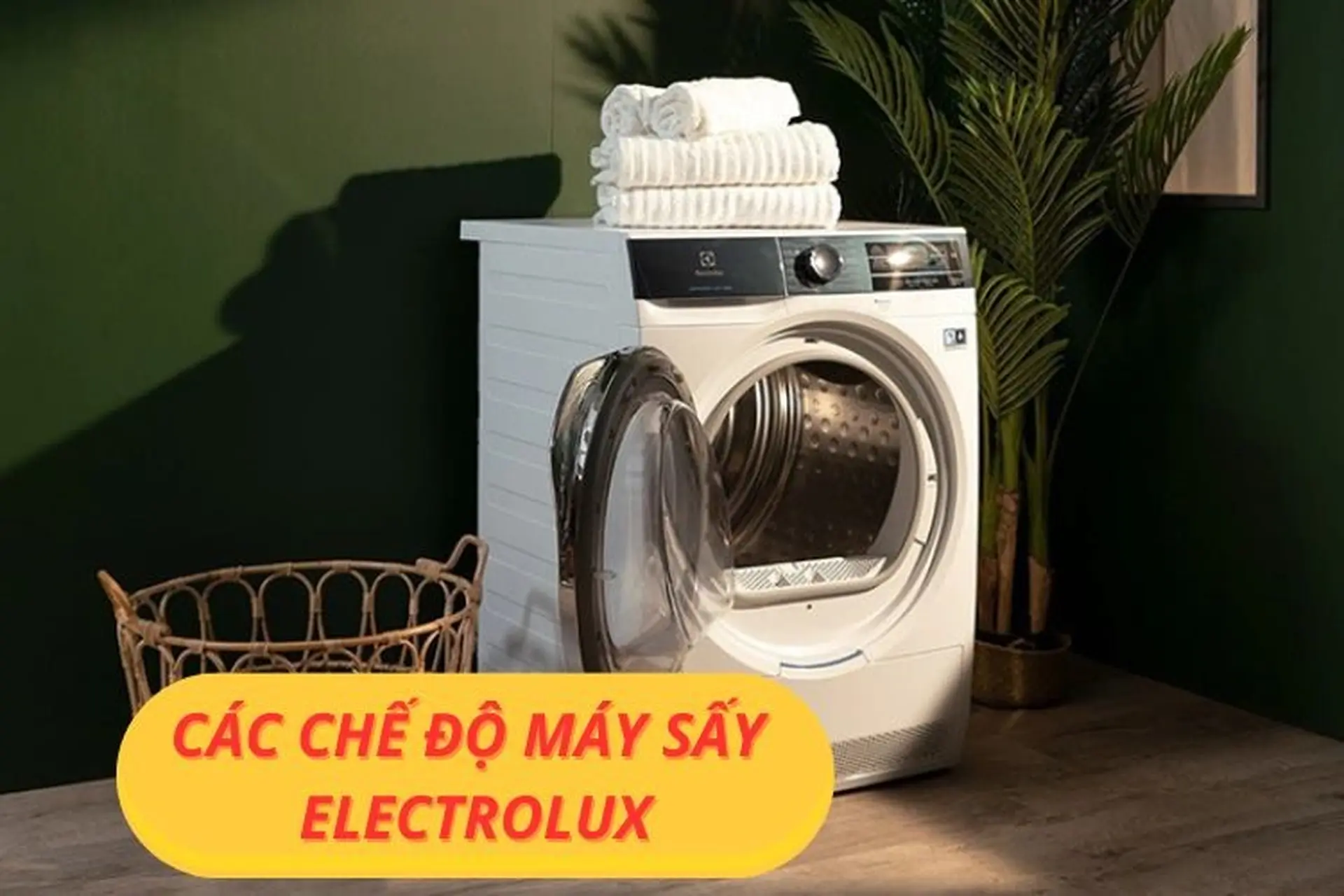 Các chế độ máy sấy Electrolux: Ý nghĩa, hướng dẫn chi tiết cách sử dụng cực dễ hiểu và hiệu quả nhất 