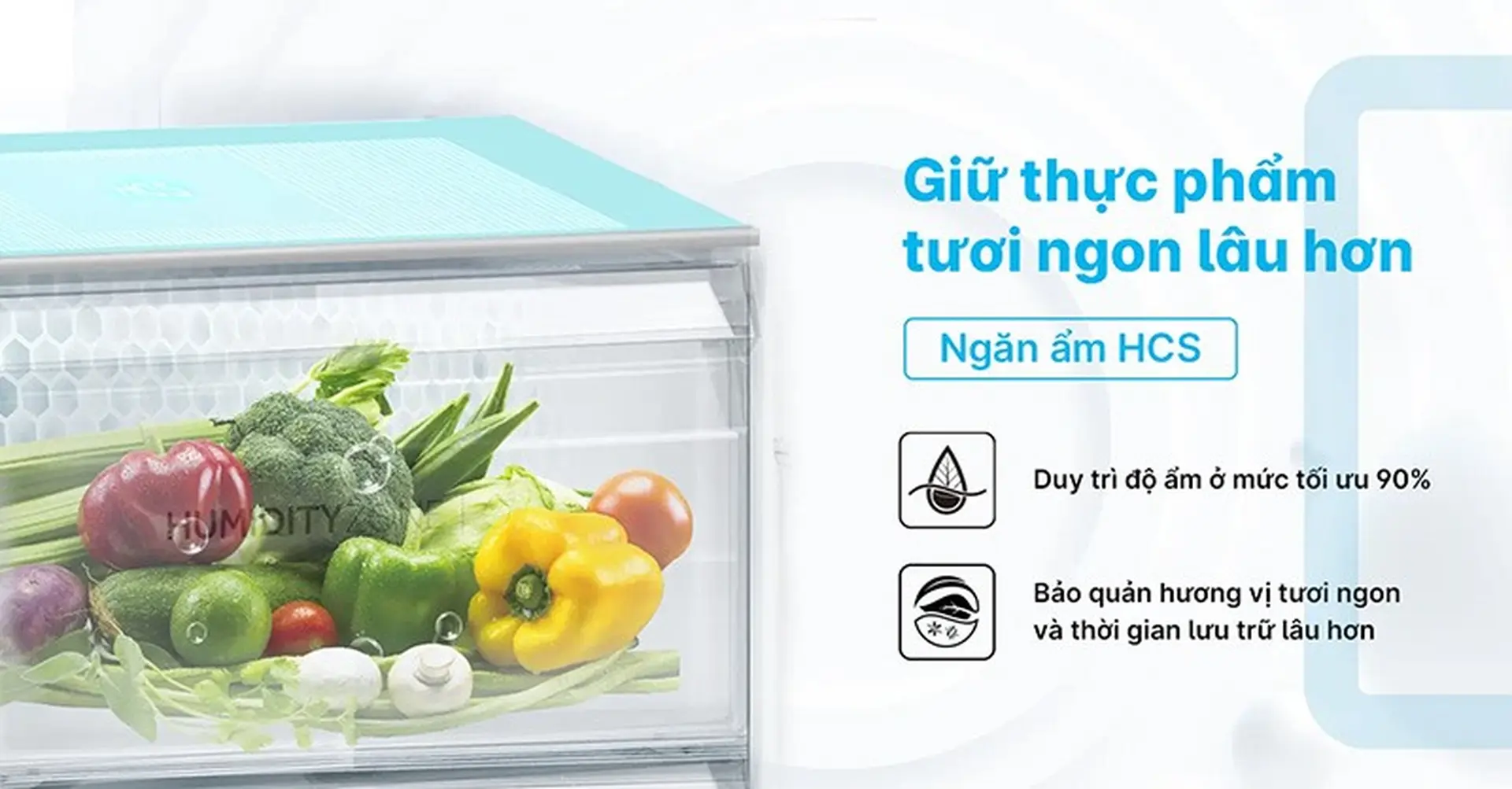 Ngăn giữ ẩm HCS của tủ lạnh Aqua có gì độc đáo? Mang lại những lợi ích gì cho người dùng?