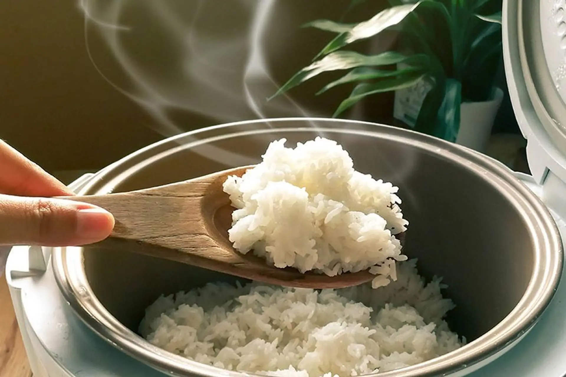 Công nghệ nấu cơm tách đường là gì? Liệu có nên mua nồi cơm điện có công nghệ này?