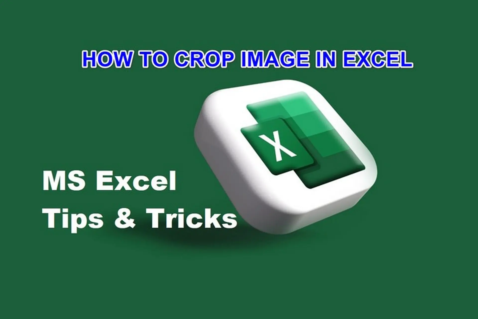 Hướng dẫn cắt ảnh trong Excel chi tiết: Tạo ảnh nghệ thuật bằng cách cắt ảnh cực dễ