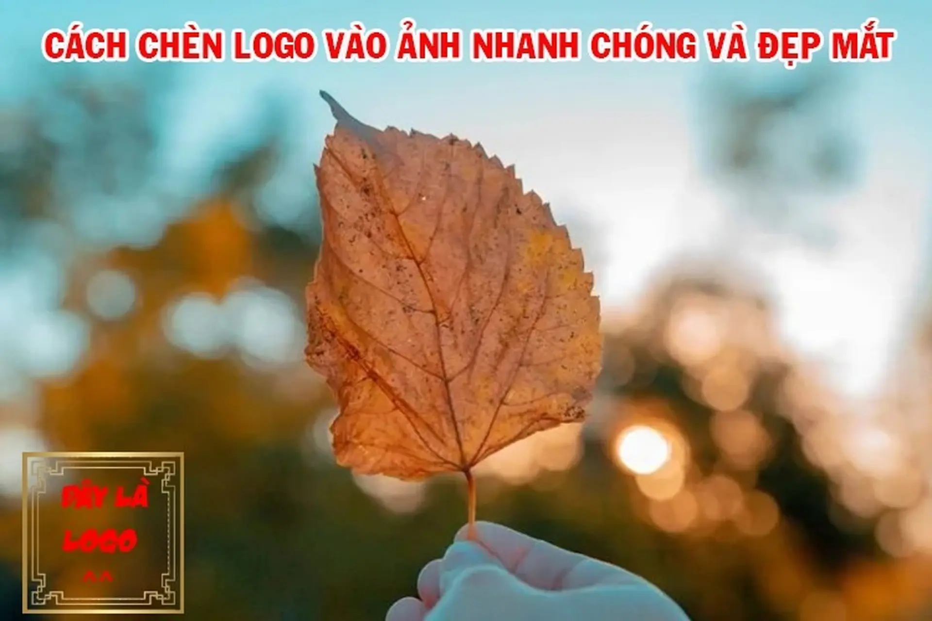 Cách chèn logo vào ảnh siêu dễ mà bất cứ ai cũng có thể thực hiện thành công