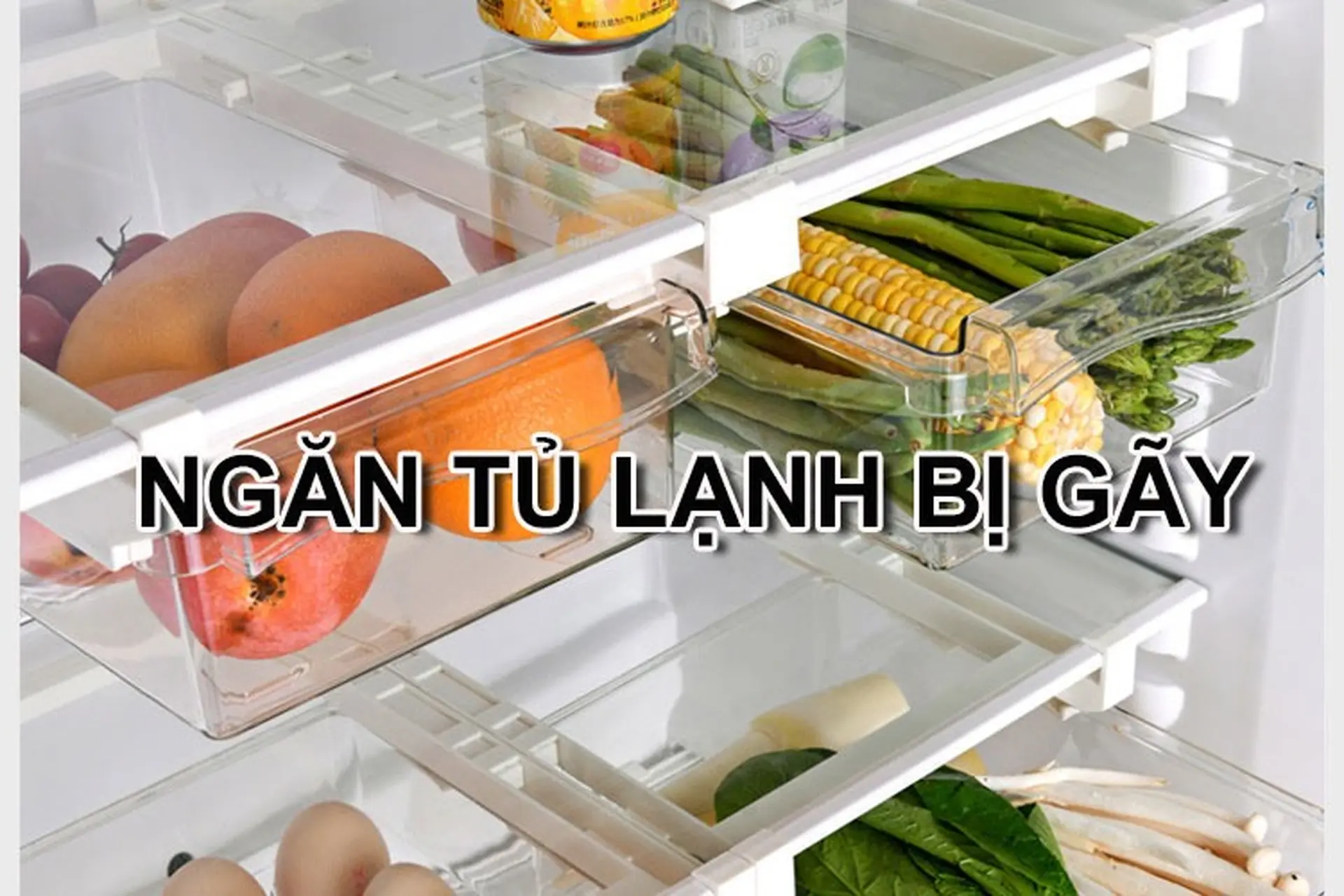Ngăn tủ lạnh bị gãy do đâu? Cách khắc phục hiệu quả có thể bạn sẽ cần